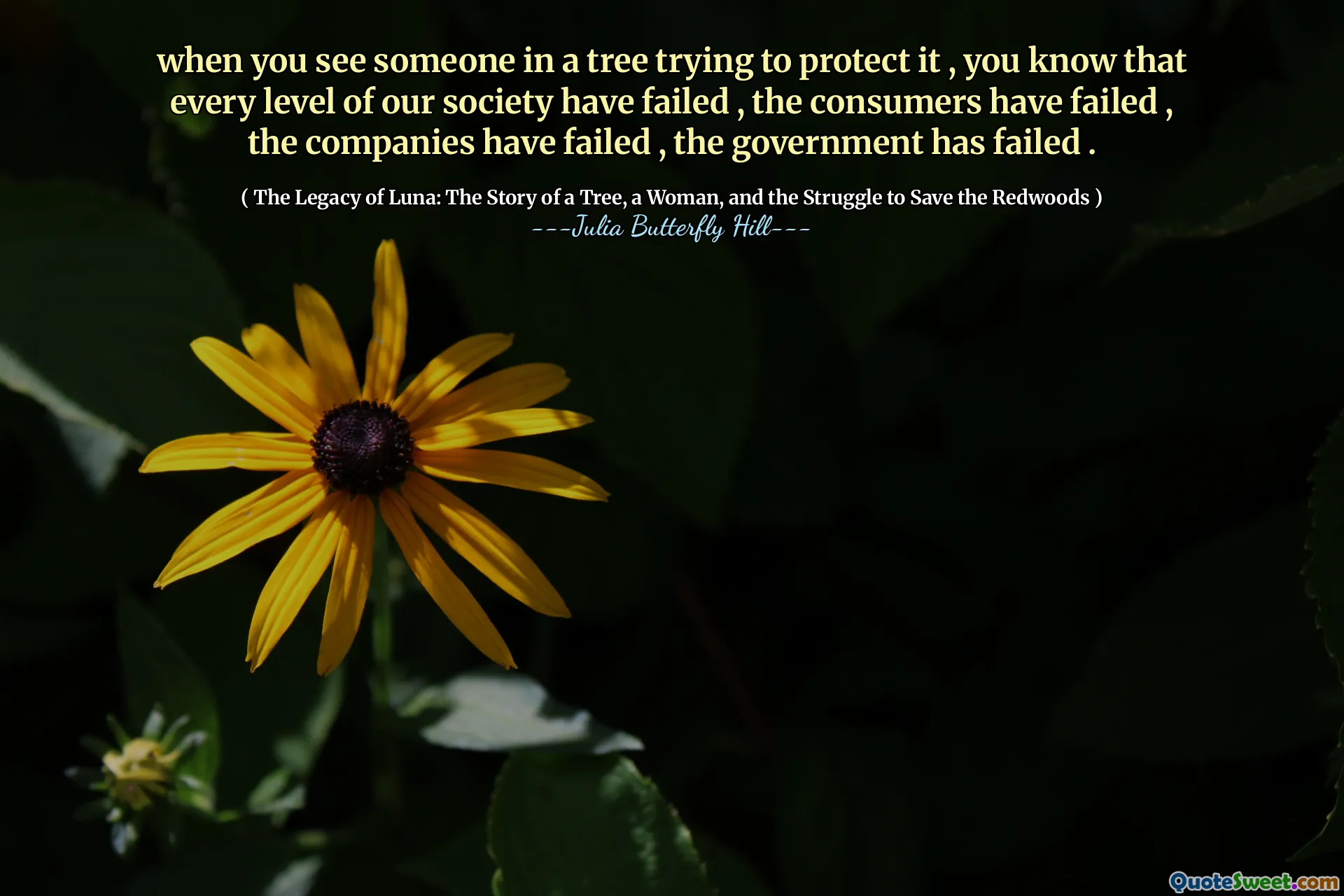 Când vedeți pe cineva dintr -un copac care încearcă să -l protejeze, știți că fiecare nivel al societății noastre au eșuat, consumatorii au eșuat, companiile au eșuat, guvernul a eșuat.