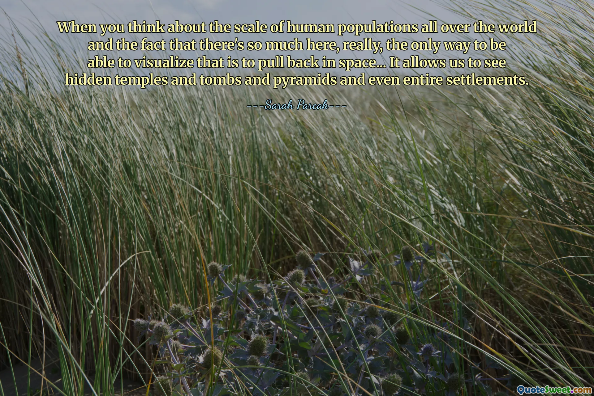 When you think about the scale of human populations all over the world and the fact that there's so much here, really, the only way to be able to visualize that is to pull back in space... It allows us to see hidden temples and tombs and pyramids and even entire settlements.