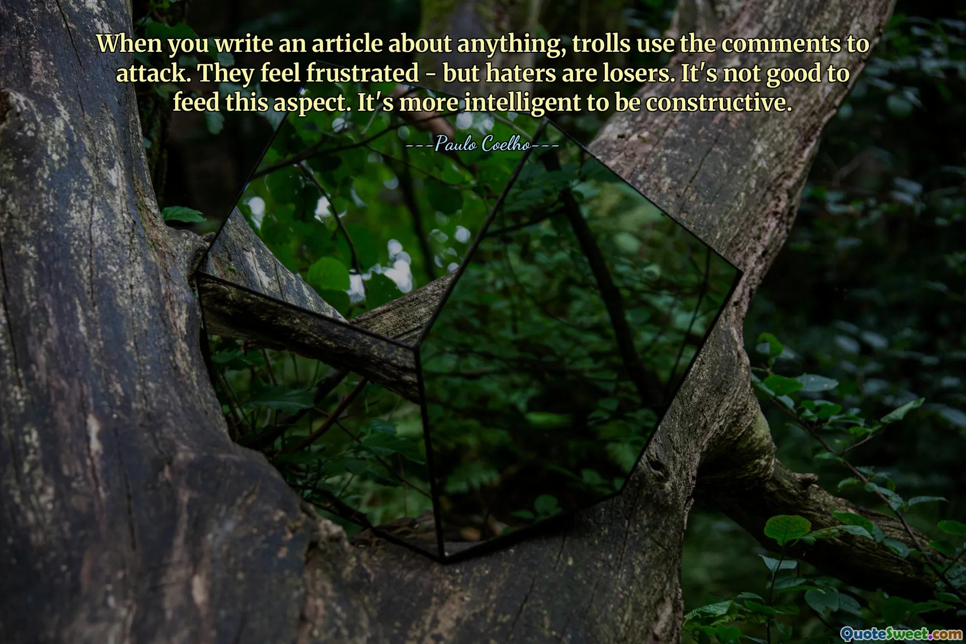 When you write an article about anything, trolls use the comments to attack. They feel frustrated - but haters are losers. It's not good to feed this aspect. It's more intelligent to be constructive.