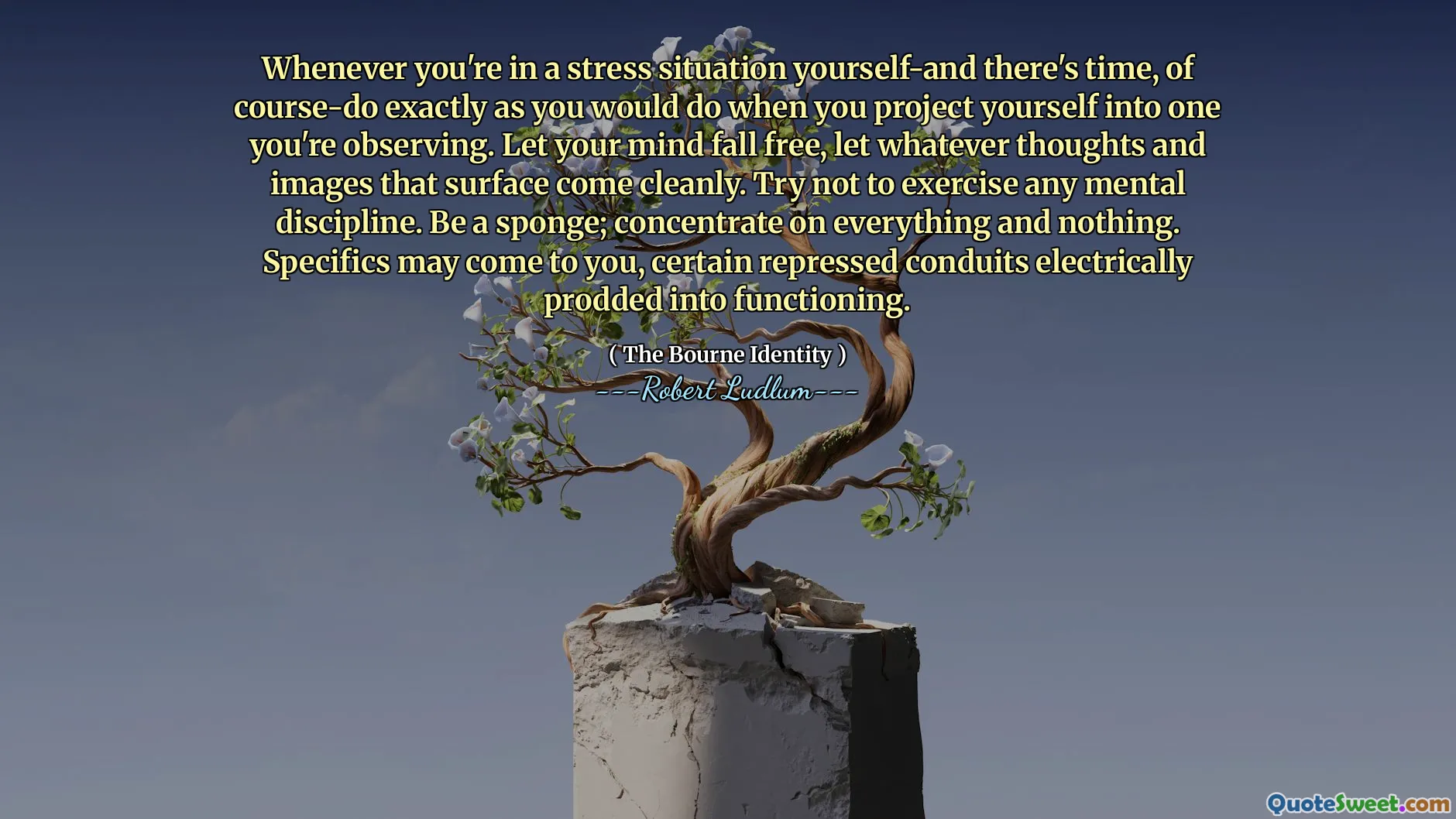 每当你自己处于压力境地时——当然还有时间——就按照你将自己投射到你正在观察的人身上时所做的那样去做。让你的思绪自由自在，让任何浮现的想法和画面都清晰地浮现出来。尽量不要进行任何精神纪律。做一块海绵；专注于一切，什么也不专注。具体细节可能会出现在你的脑海中，某些被压抑的导管会被电刺激而发挥作用。