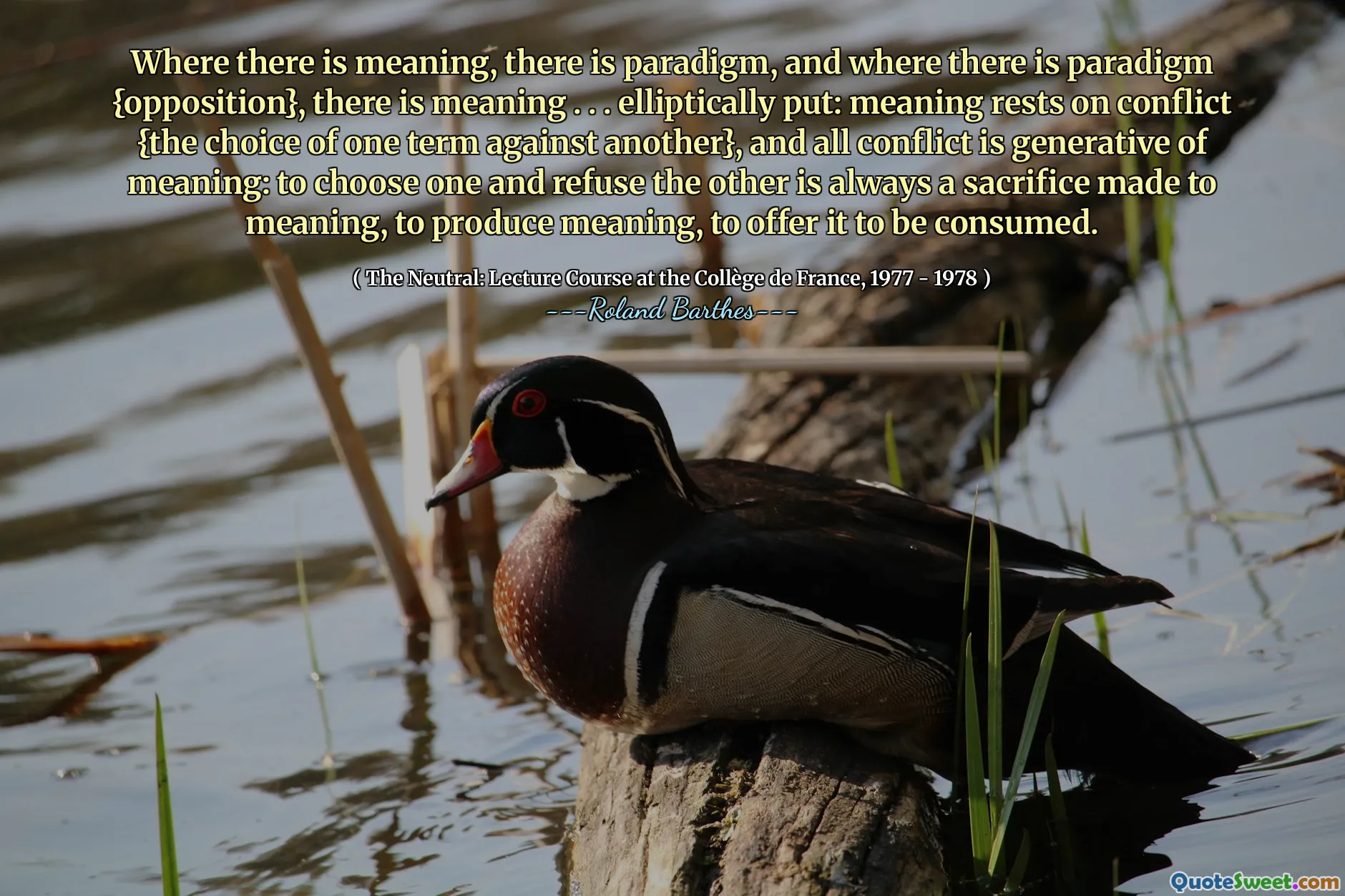 Where there is meaning, there is paradigm, and where there is paradigm {opposition}, there is meaning . . . elliptically put: meaning rests on conflict {the choice of one term against another}, and all conflict is generative of meaning: to choose one and refuse the other is always a sacrifice made to meaning, to produce meaning, to offer it to be consumed.