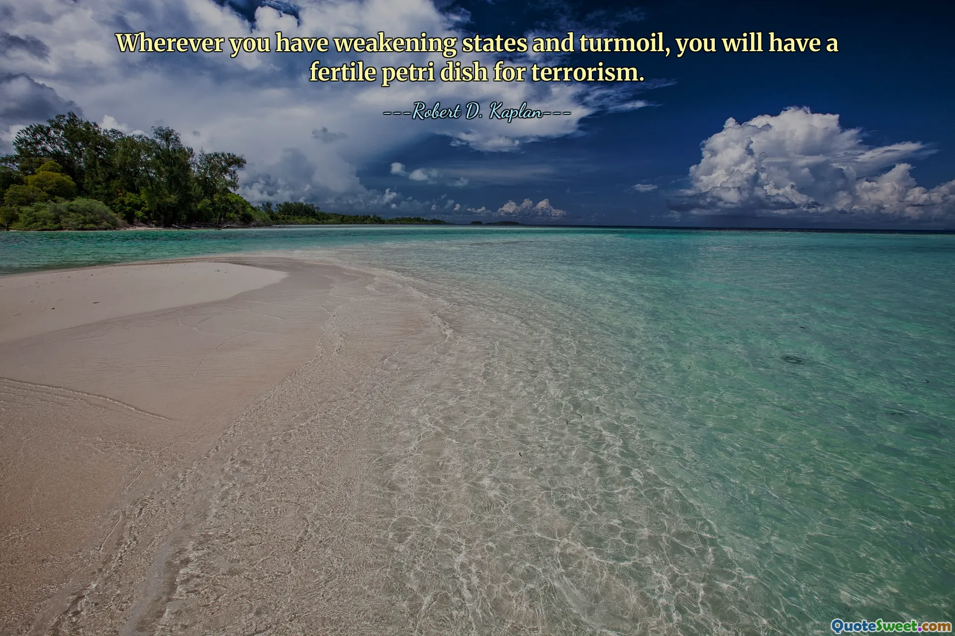 Wherever you have weakening states and turmoil, you will have a fertile petri dish for terrorism.