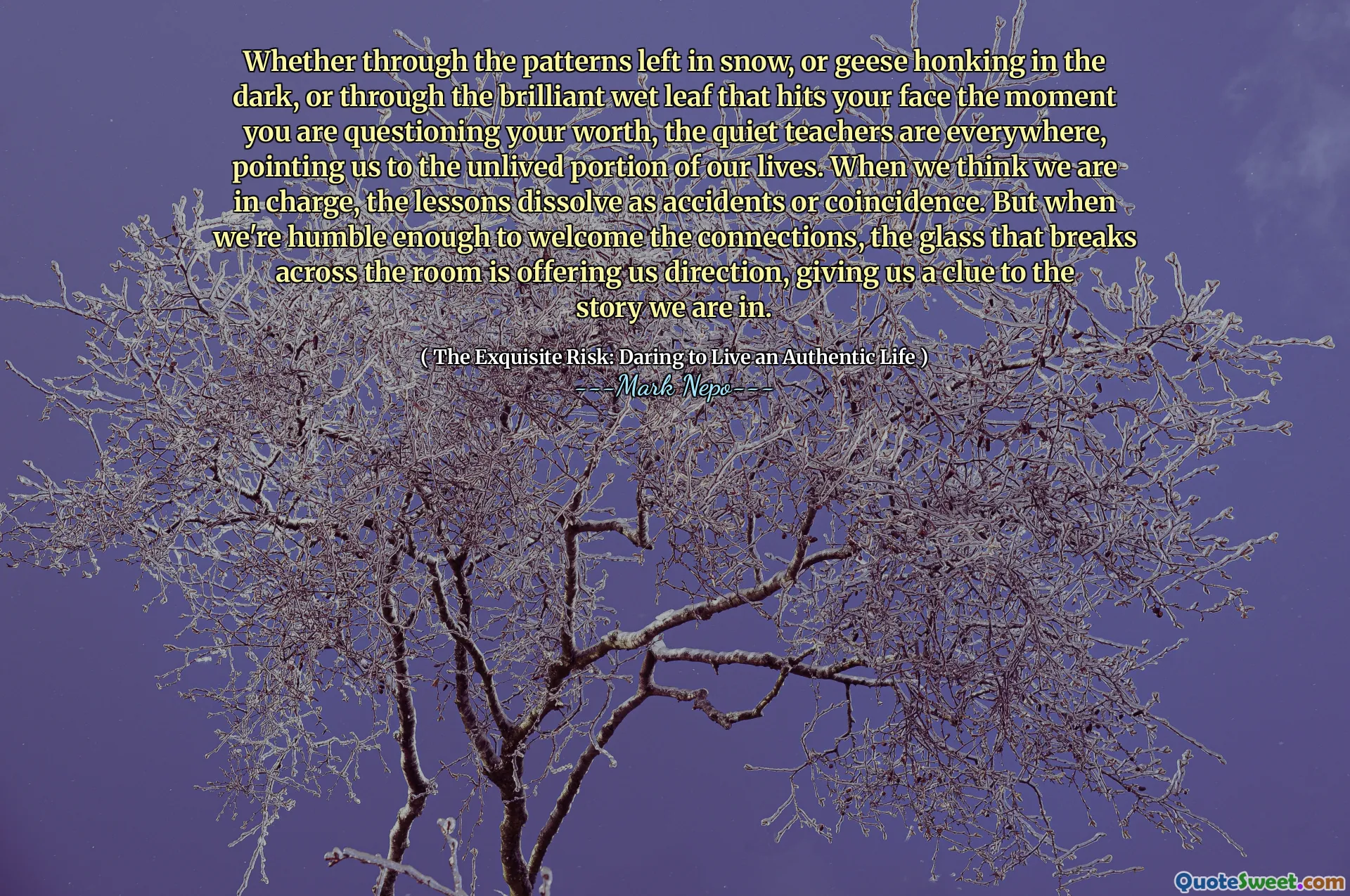 Whether through the patterns left in snow, or geese honking in the dark, or through the brilliant wet leaf that hits your face the moment you are questioning your worth, the quiet teachers are everywhere, pointing us to the unlived portion of our lives. When we think we are in charge, the lessons dissolve as accidents or coincidence. But when we're humble enough to welcome the connections, the glass that breaks across the room is offering us direction, giving us a clue to the story we are in.