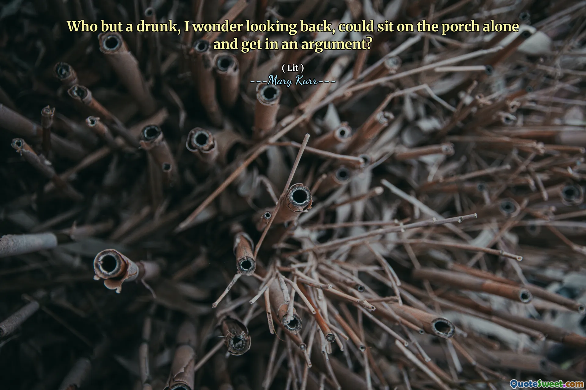 Who but a drunk, I wonder looking back, could sit on the porch alone and get in an argument?
