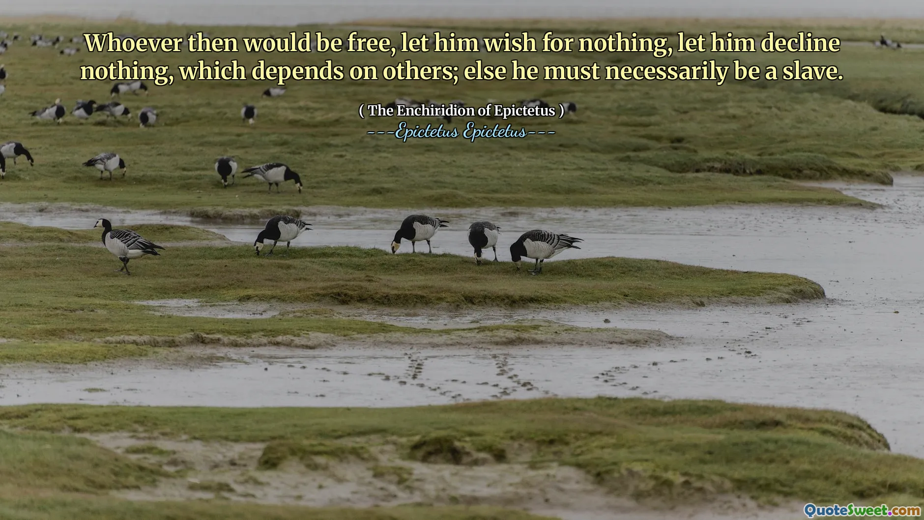 Oricine ar fi atunci liber, lasă -l să -și dorească nimic, să nu declanșeze nimic, care depinde de ceilalți; altfel trebuie să fie neapărat un sclav.