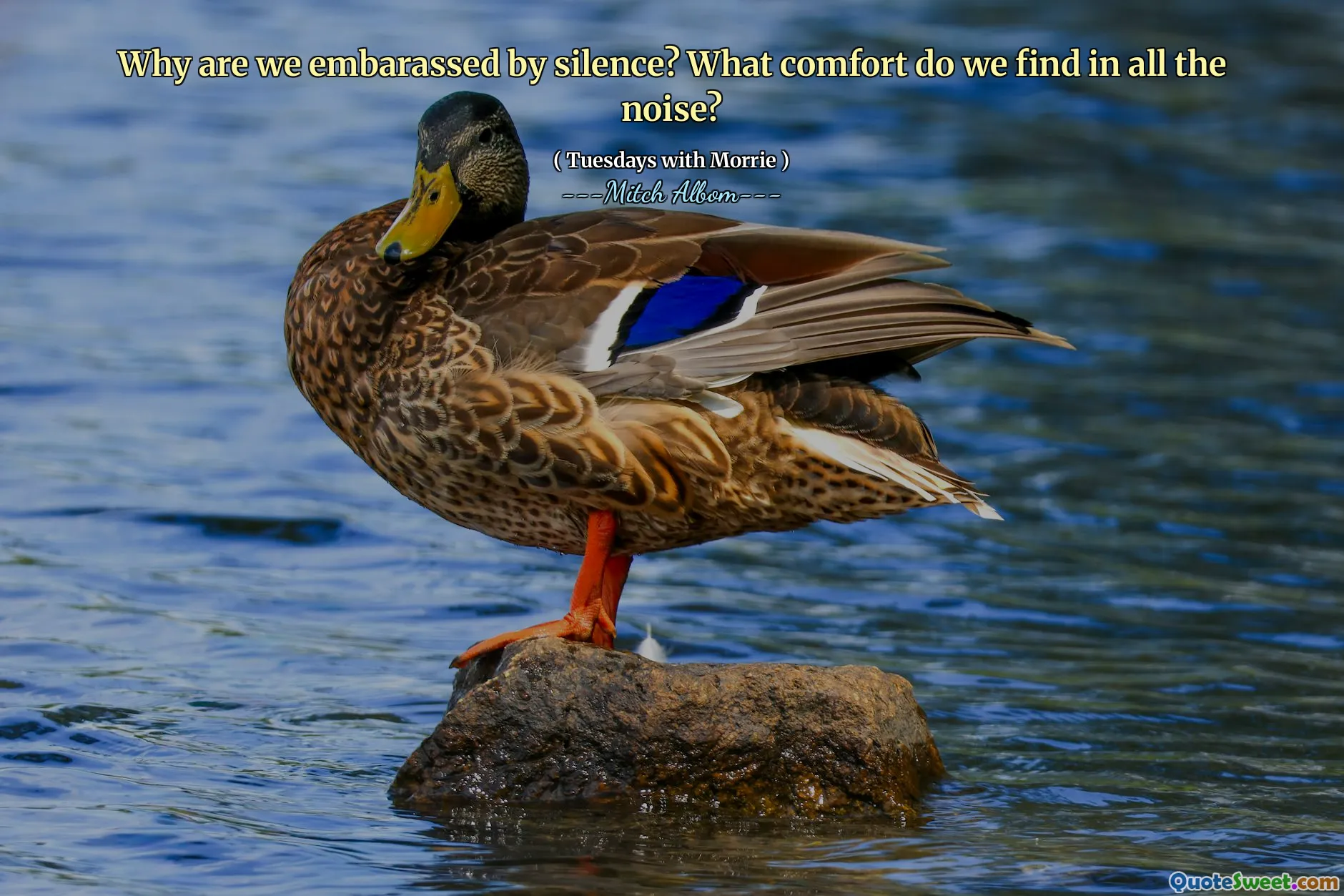 हम चुप्पी से शर्मिंदा क्यों हैं? हम सभी शोर में क्या आराम करते हैं?