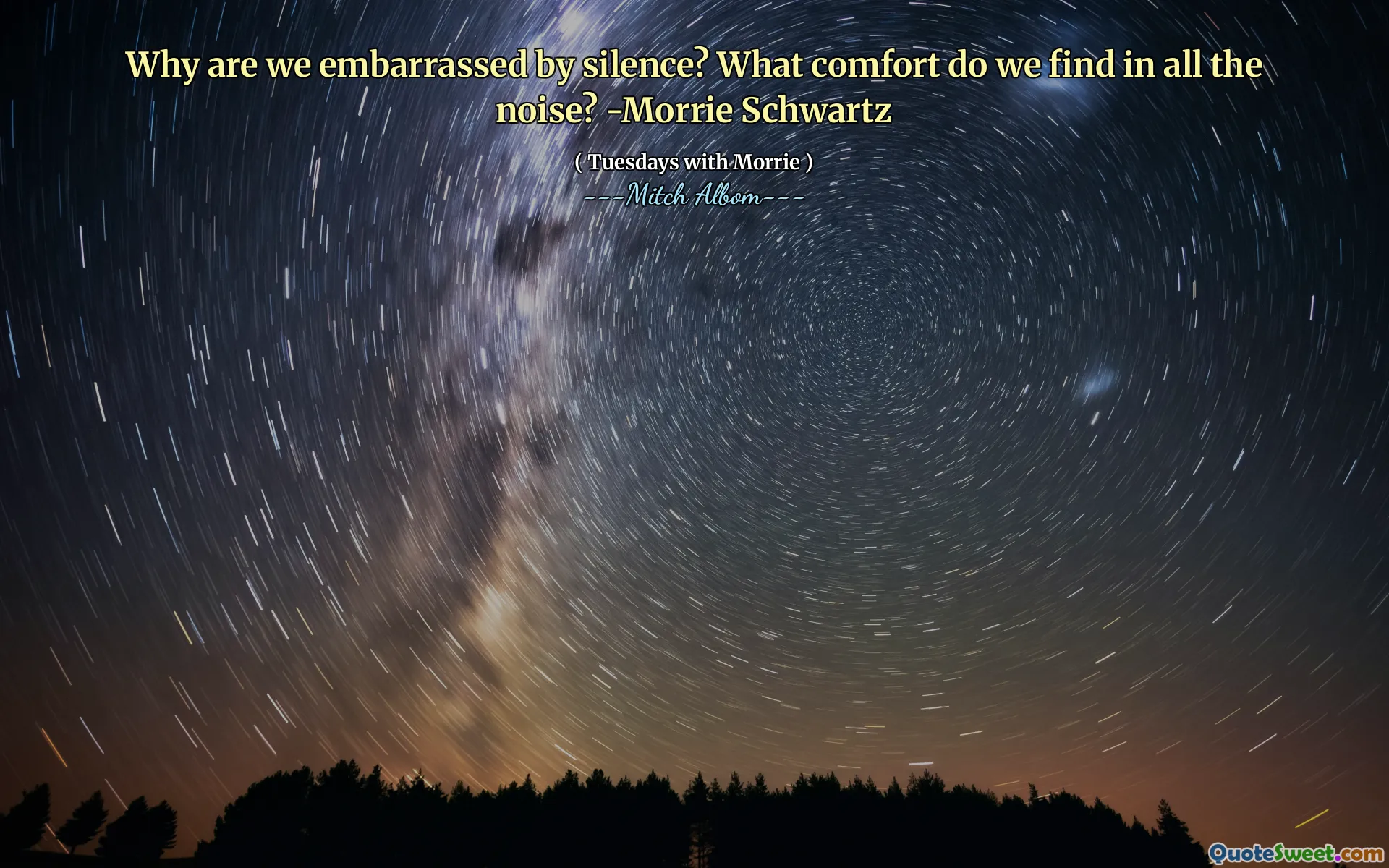 Почему мы смущены молчанием? Какой комфорт мы находим во всем шуме? -Морри Шварц