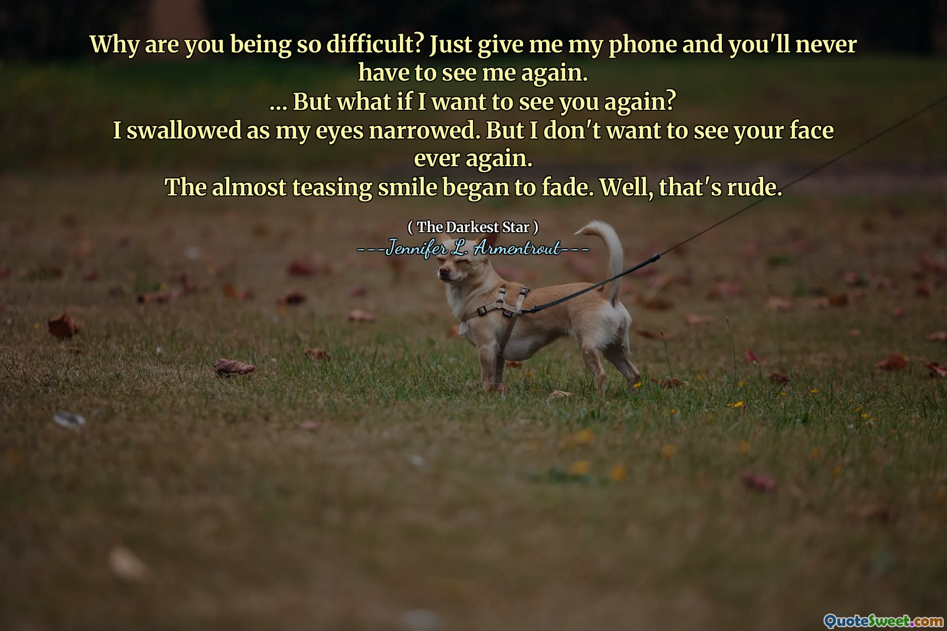 Why are you being so difficult? Just give me my phone and you'll never have to see me again.
… But what if I want to see you again?
I swallowed as my eyes narrowed. But I don't want to see your face ever again.
The almost teasing smile began to fade. Well, that's rude.