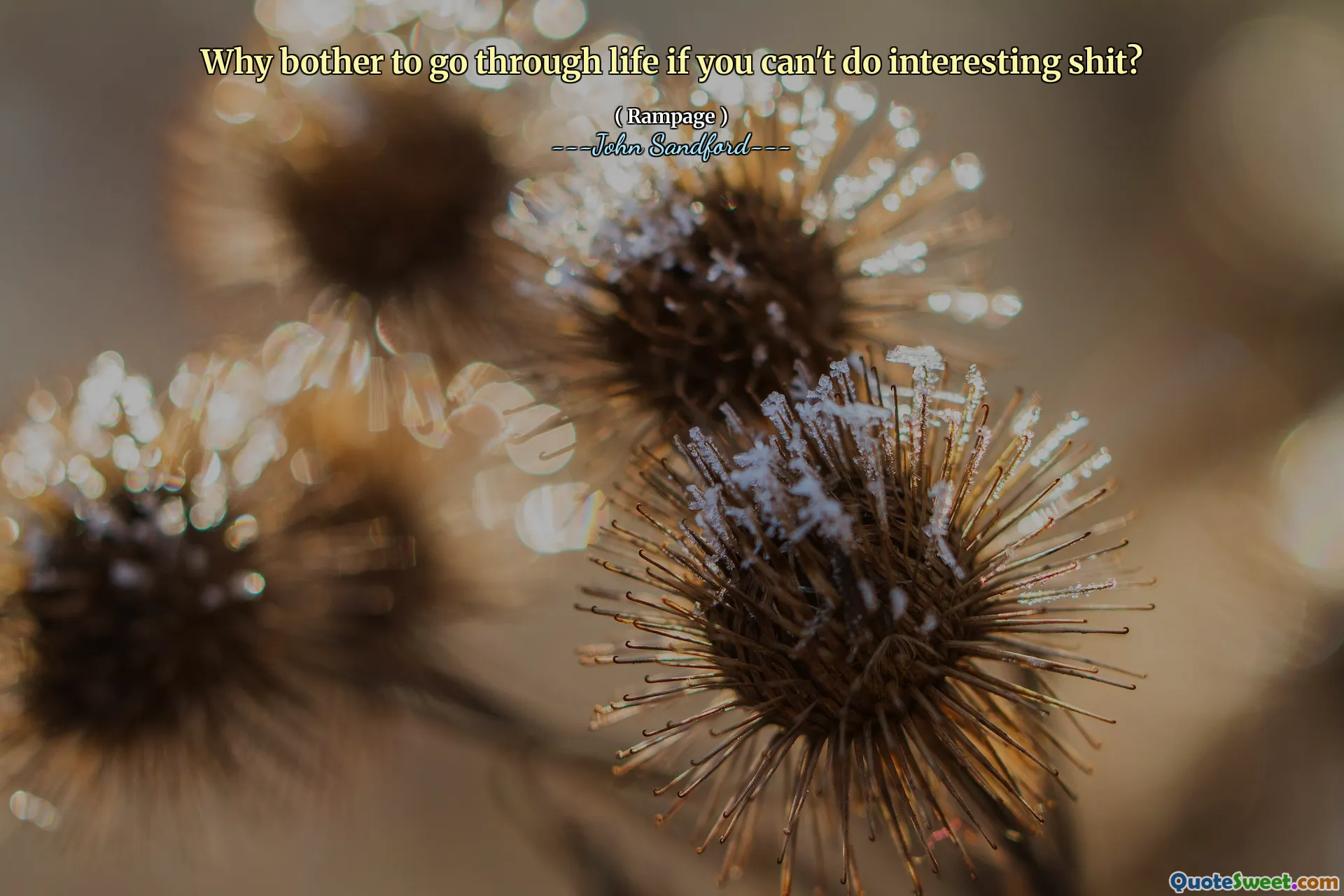 De ce să te deranjezi să treci prin viață dacă nu poți face lucruri interesante?