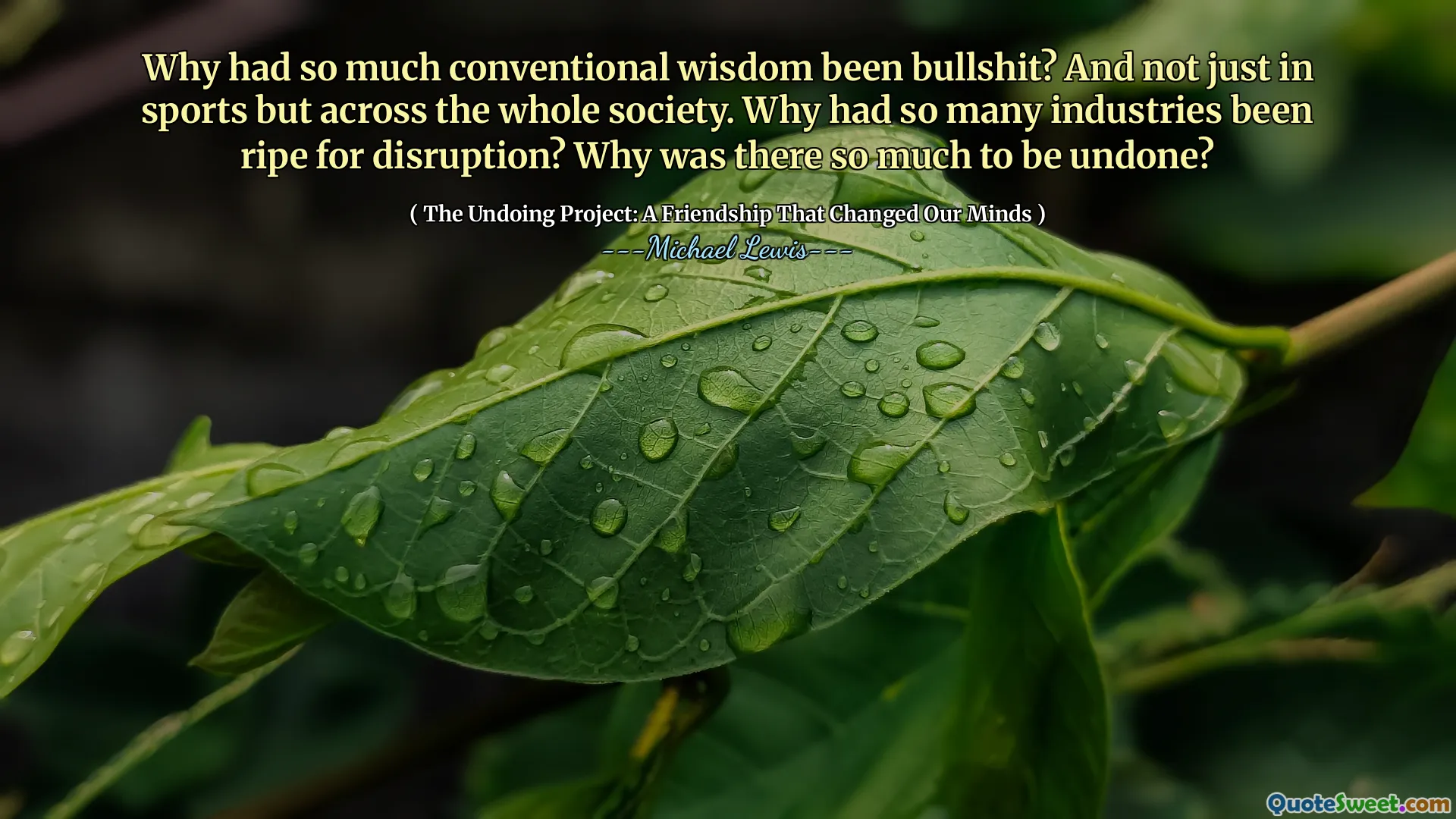 Por que tanta sabedoria convencional era besteira? E não apenas nos esportes, mas em toda a sociedade. Por que tantas indústrias estavam prontas para a interrupção? Por que havia tanto a ser desfeito?