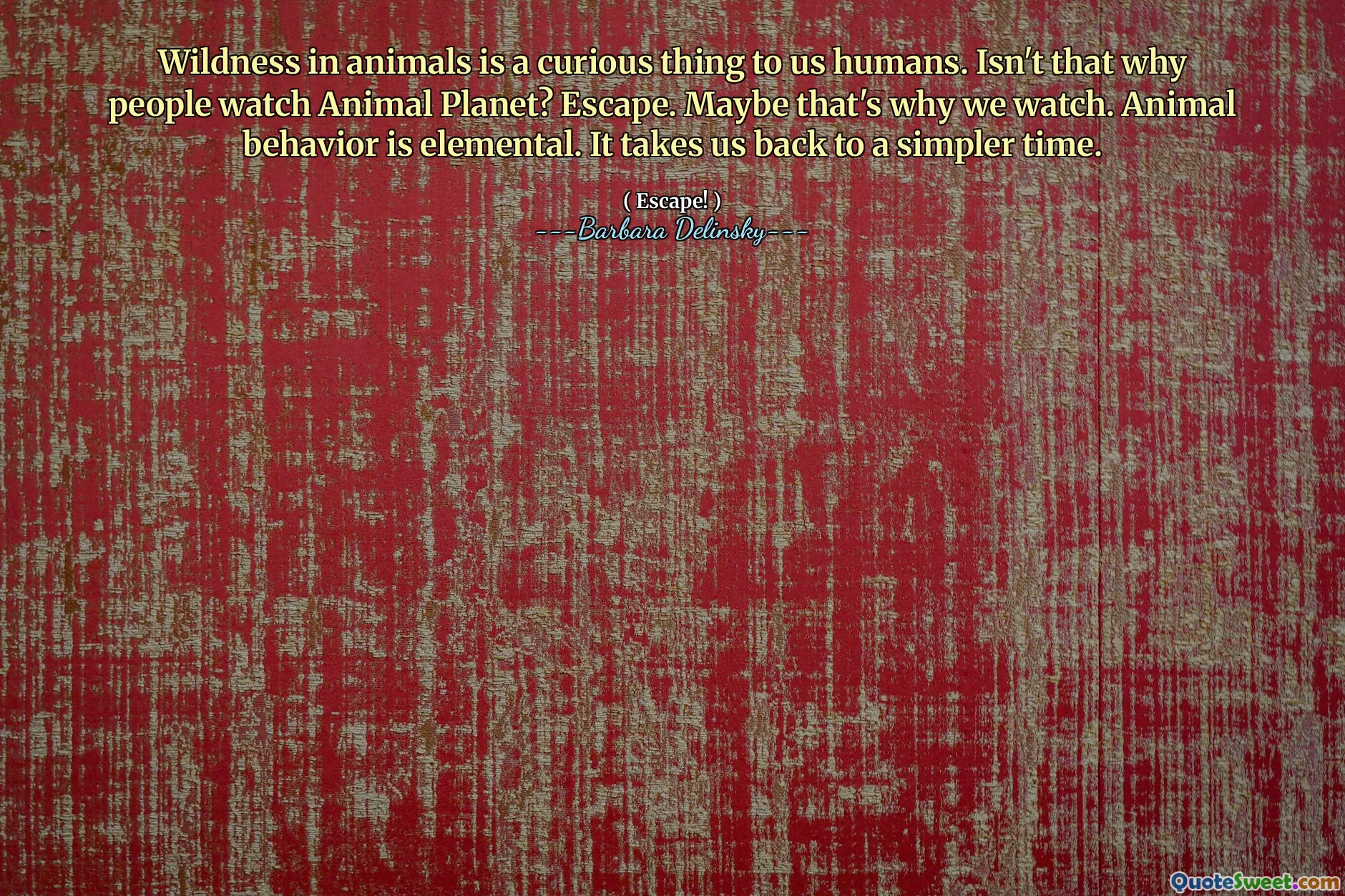 Wildness in animals is a curious thing to us humans. Isn't that why people watch Animal Planet? Escape. Maybe that's why we watch. Animal behavior is elemental. It takes us back to a simpler time.