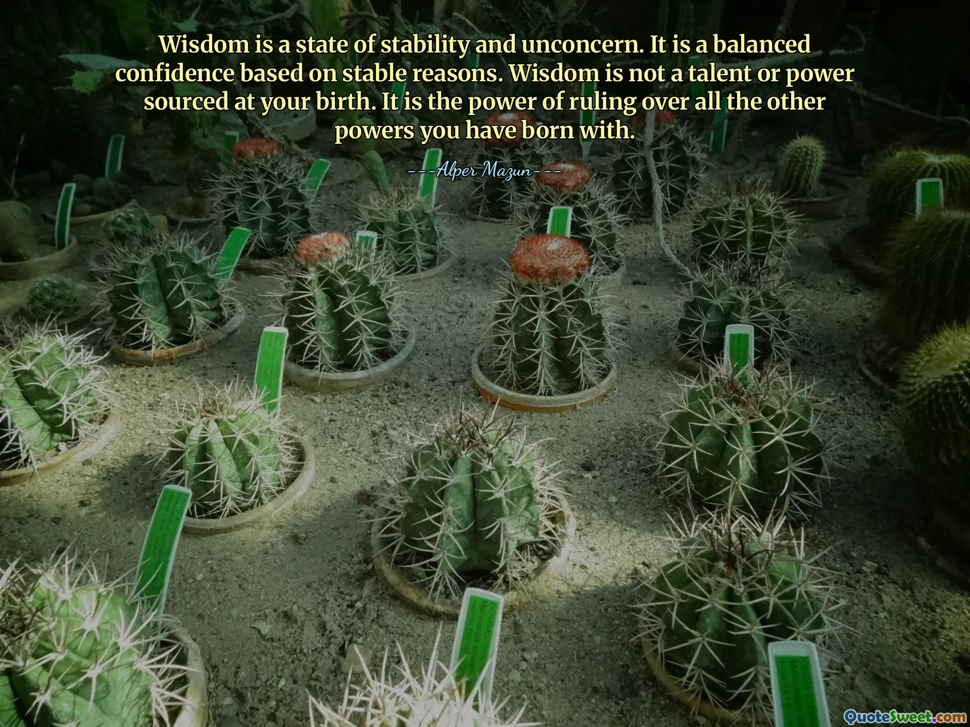 Wisdom is a state of stability and unconcern. It is a balanced confidence based on stable reasons. Wisdom is not a talent or power sourced at your birth. It is the power of ruling over all the other powers you have born with.