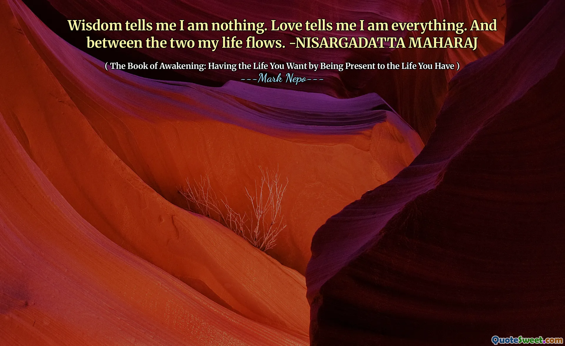 الحكمة تخبرني أنني لا شيء. الحب يخبرني أنني كل شيء. وبين اثنين تتدفق حياتي. -nisargadatta مهراج