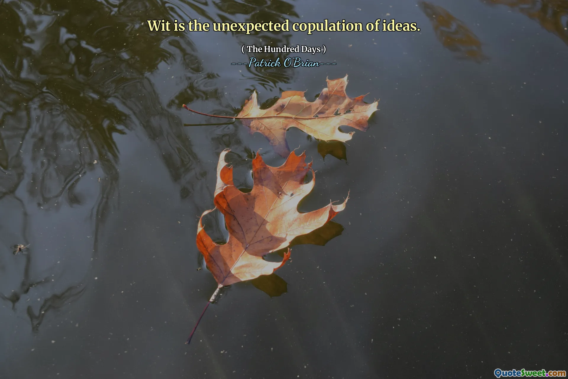 Wit is the unexpected copulation of ideas.