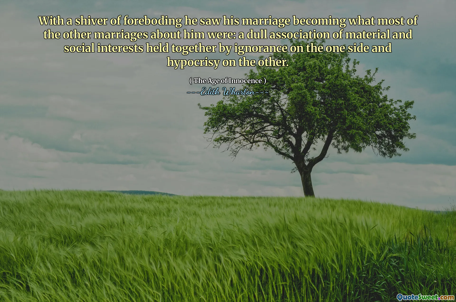 With a shiver of foreboding he saw his marriage becoming what most of the other marriages about him were: a dull association of material and social interests held together by ignorance on the one side and hypocrisy on the other.