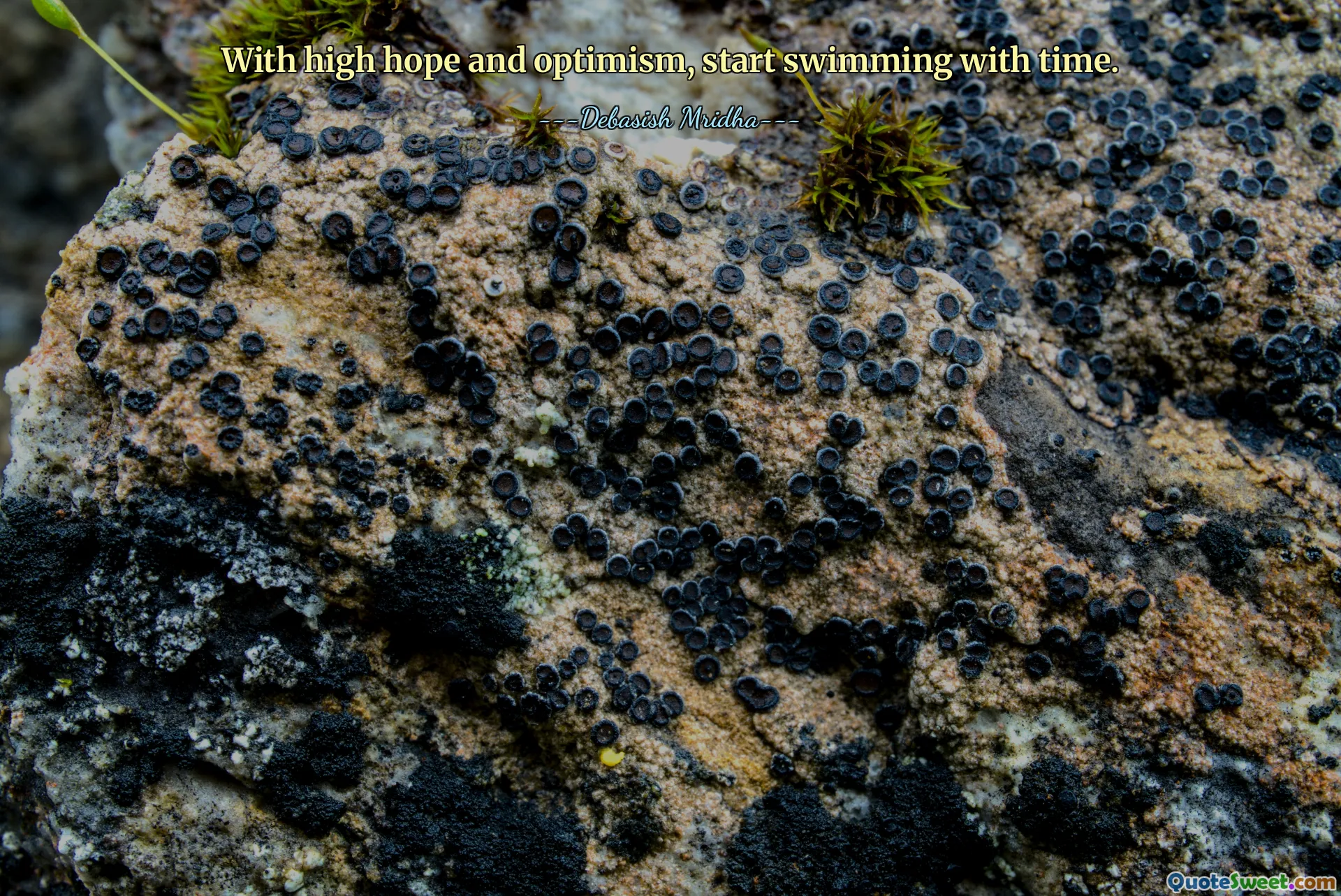 With high hope and optimism, start swimming with time.