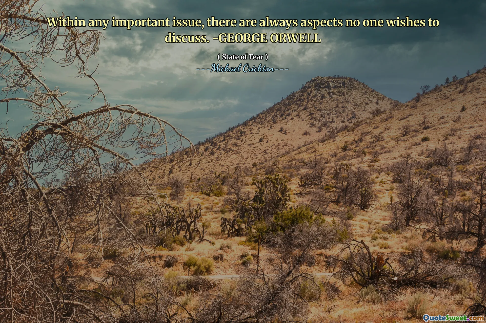 Em qualquer questão importante, sempre existem aspectos que ninguém deseja discutir. -George Orwell