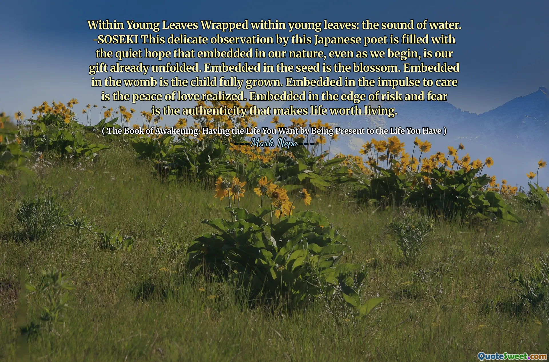 داخل الأوراق الصغيرة ملفوفة داخل الأوراق الصغيرة: صوت الماء. -سوسيكي هذه الملاحظة الدقيقة التي قام بها هذا الشاعر الياباني مليء بالأمل الهادئ الذي تم تضمينه في طبيعتنا ، حتى مع بدءنا ، هي هديتنا التي تكشفت بالفعل. جزءا لا يتجزأ من البذور هو الزهر. جزءا لا يتجزأ من الرحم هو الطفل نما بالكامل. جزءا لا يتجزأ من الدافع إلى الرعاية هو سلام الحب. جزءا لا يتجزأ في حافة الخطر والخوف هو الأصالة التي تجعل الحياة تستحق العيش.