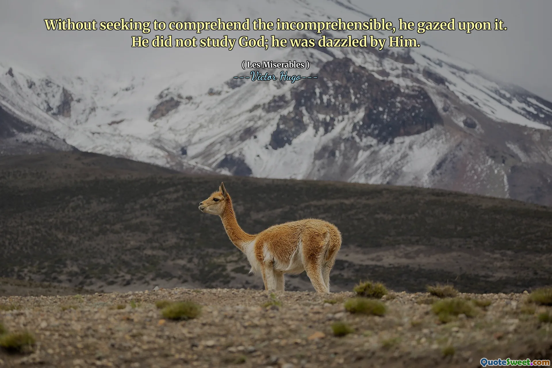 Without seeking to comprehend the incomprehensible, he gazed upon it. He did not study God; he was dazzled by Him.