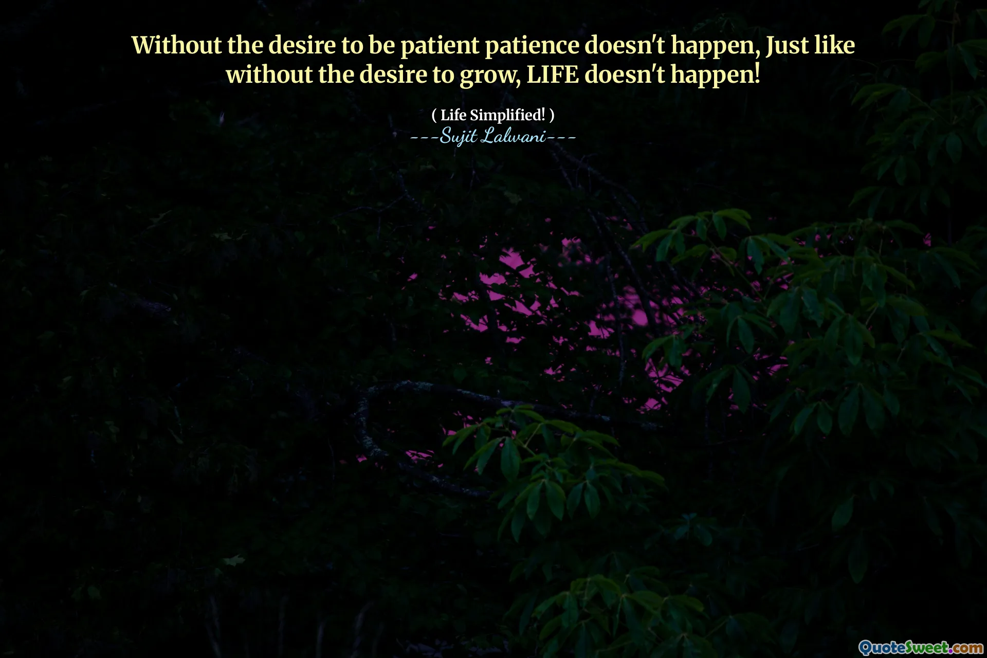 Without the desire to be patient patience doesn't happen, Just like without the desire to grow, LIFE doesn't happen!