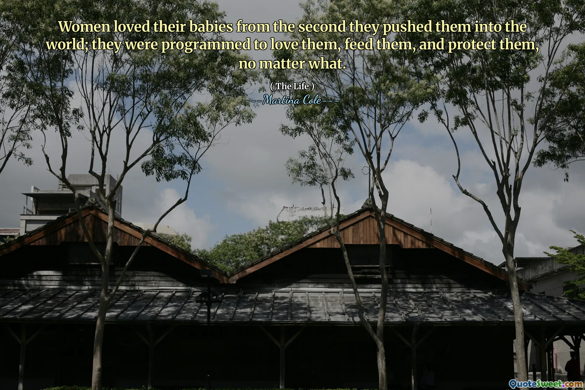 妇女从将她们推到世界上的第二秒起就爱着自己的婴儿。他们被编程为爱他们，喂养他们并保护他们，无论如何。
