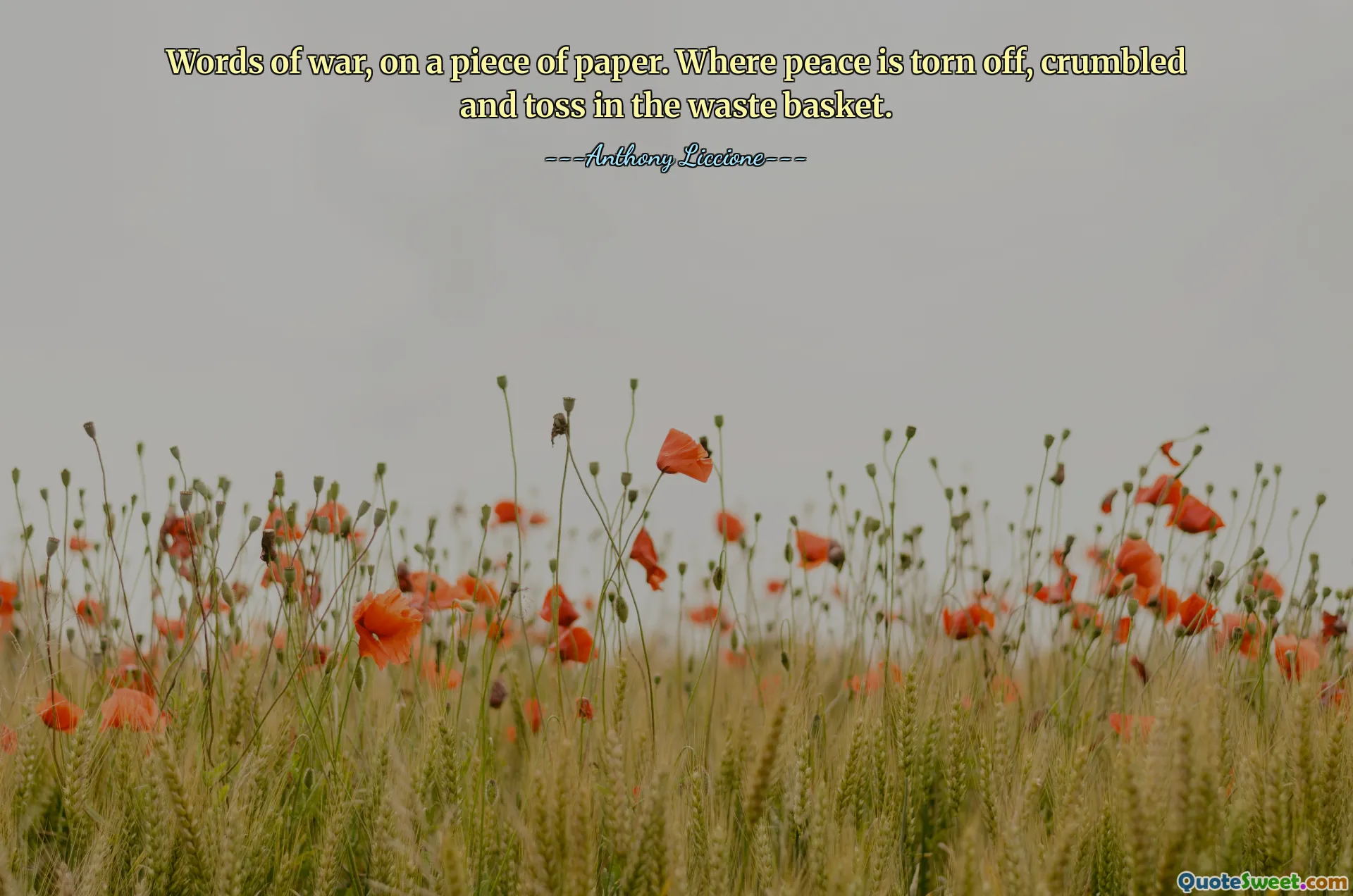 Words of war, on a piece of paper. Where peace is torn off, crumbled and toss in the waste basket.