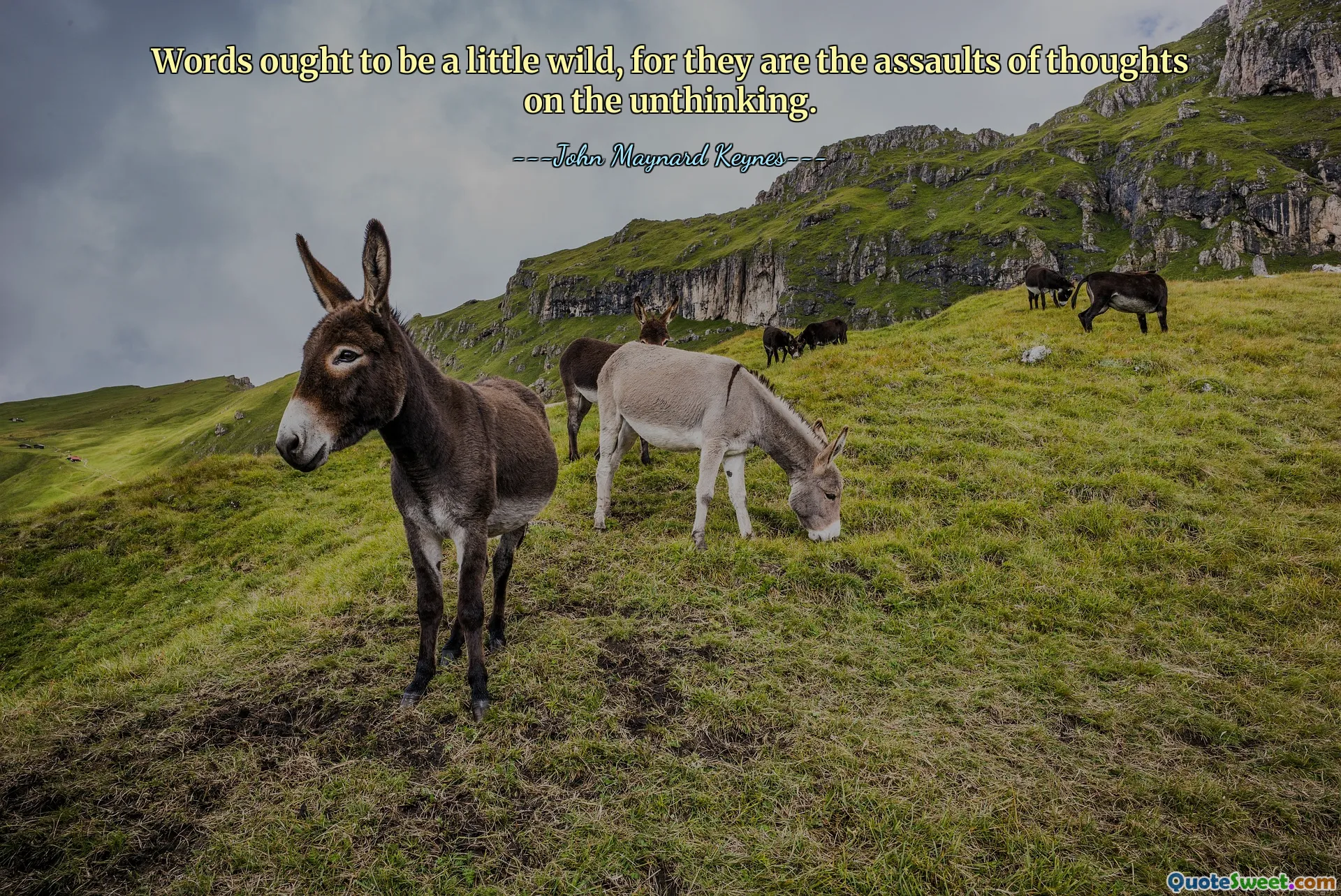 Words ought to be a little wild, for they are the assaults of thoughts on the unthinking.