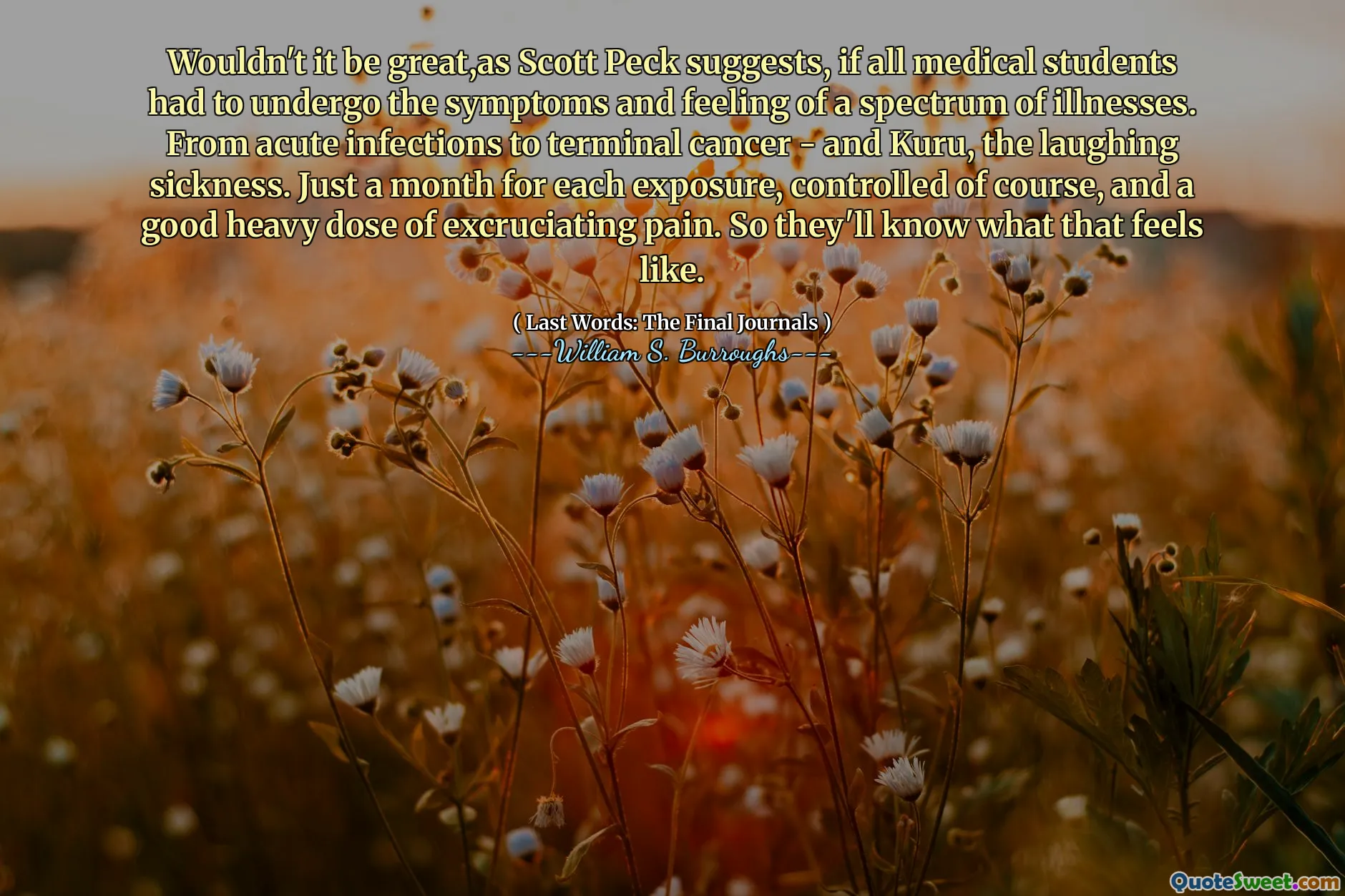 Non sarebbe fantastico, come suggerisce Scott Peck, se tutti gli studenti di medicina dovessero subire i sintomi e la sensazione di uno spettro di malattie. Dalle infezioni acute al cancro terminale - e Kuru, la risata. Solo un mese per ogni esposizione, controllata ovviamente e una buona dose pesante di dolore lancinante. Quindi sapranno come ci si sente.