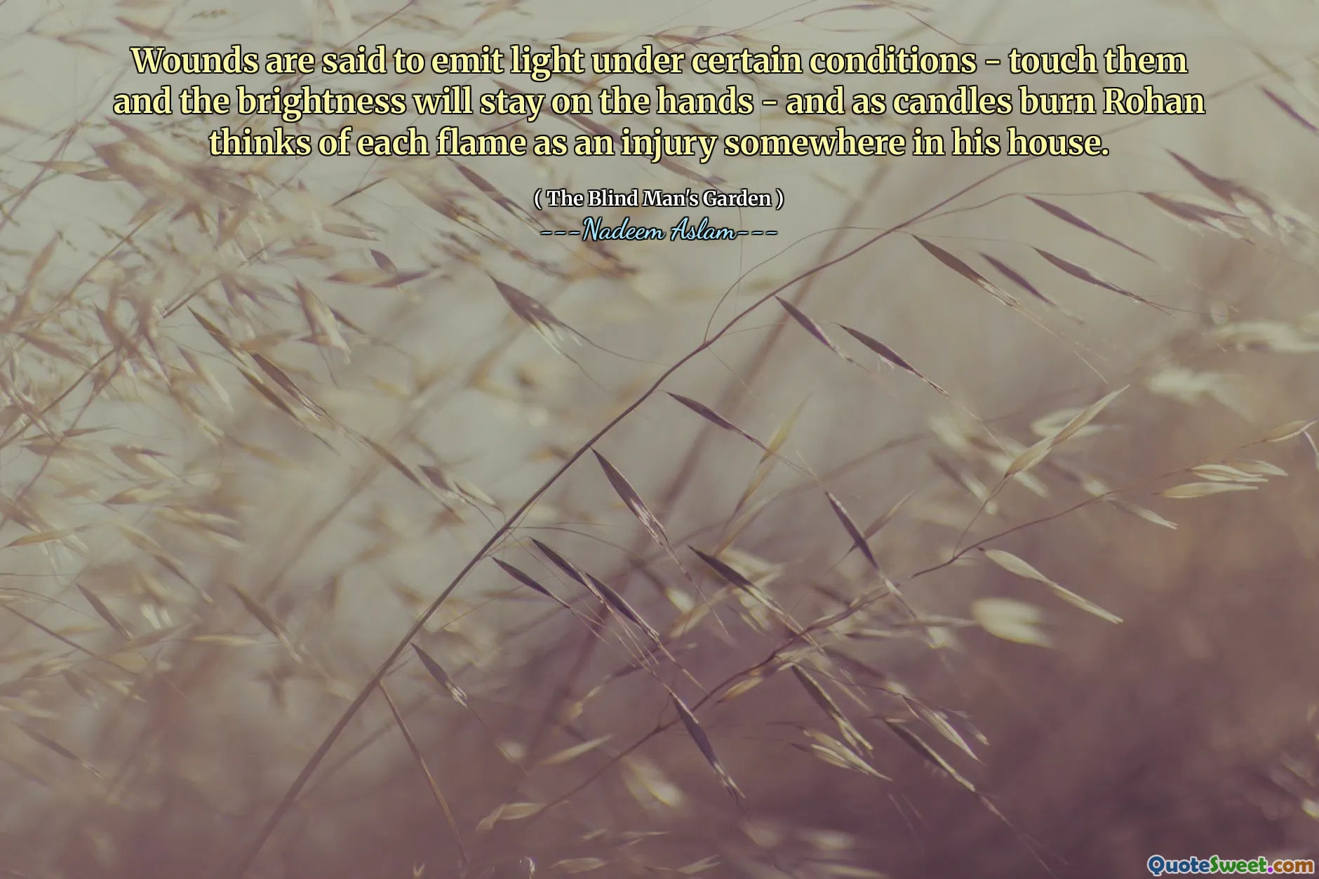 Wounds are said to emit light under certain conditions - touch them and the brightness will stay on the hands - and as candles burn Rohan thinks of each flame as an injury somewhere in his house.