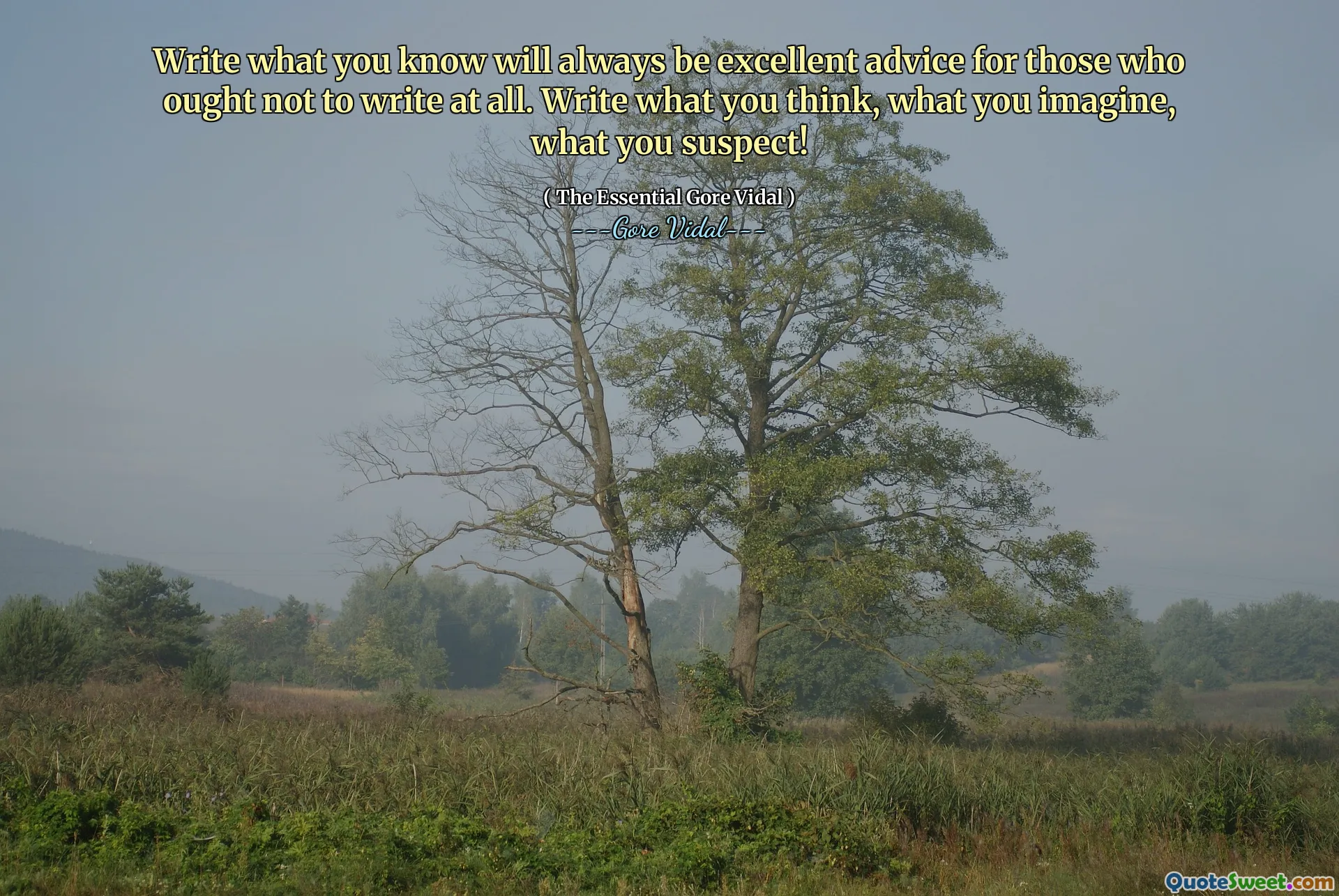 Write what you know will always be excellent advice for those who ought not to write at all. Write what you think, what you imagine, what you suspect!