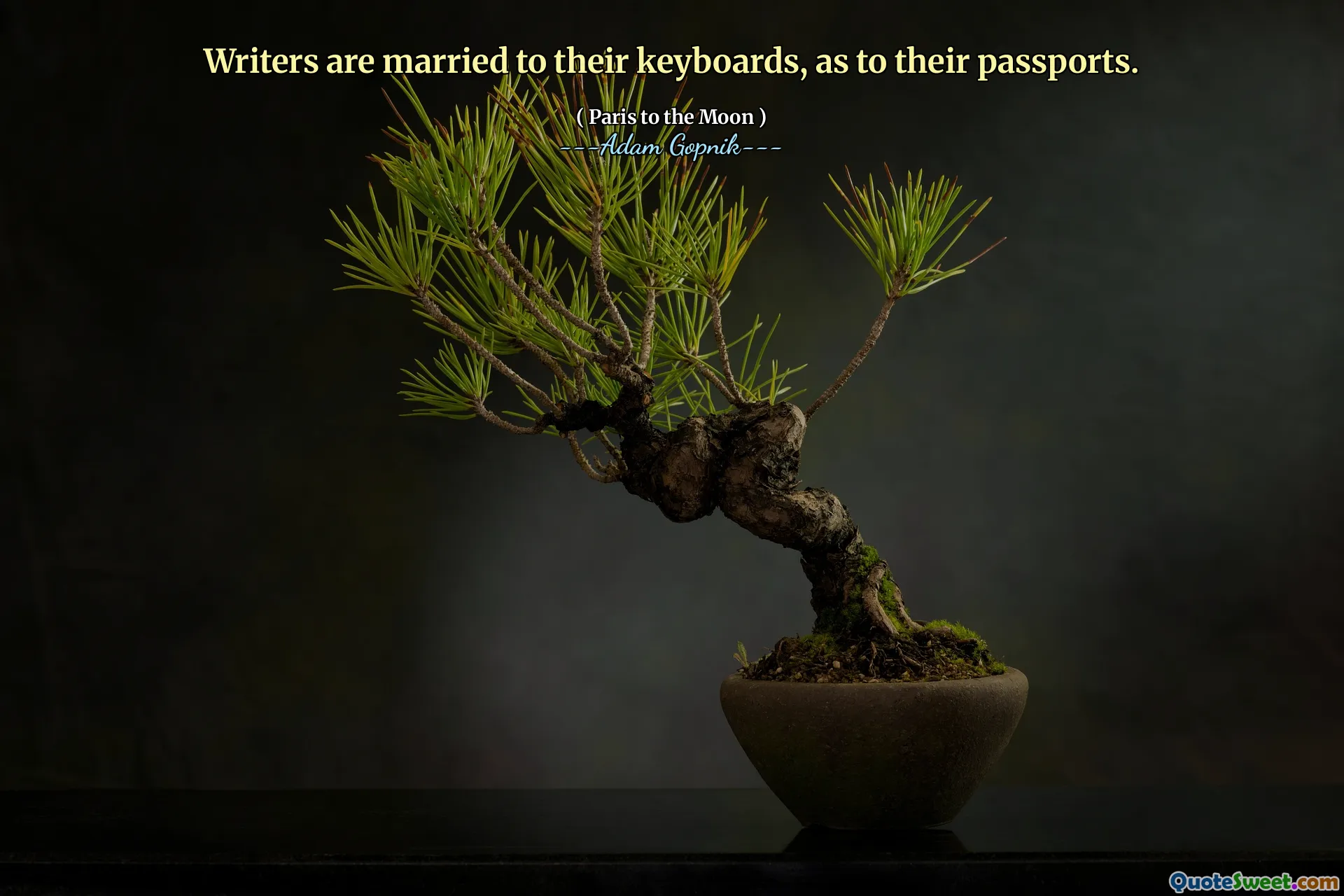 Les écrivains sont mariés à leurs claviers, quant à leurs passeports.