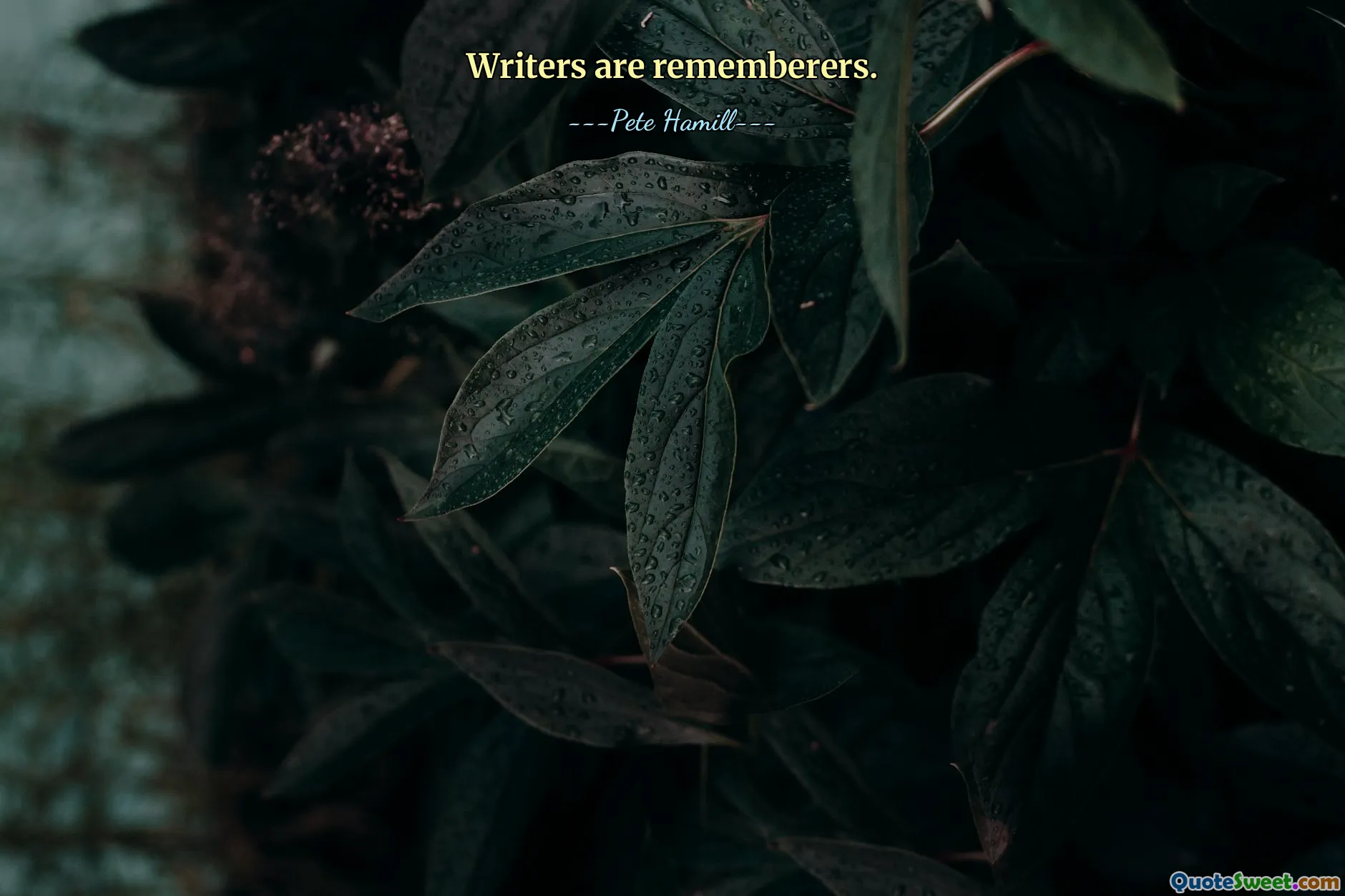 Writers are rememberers.