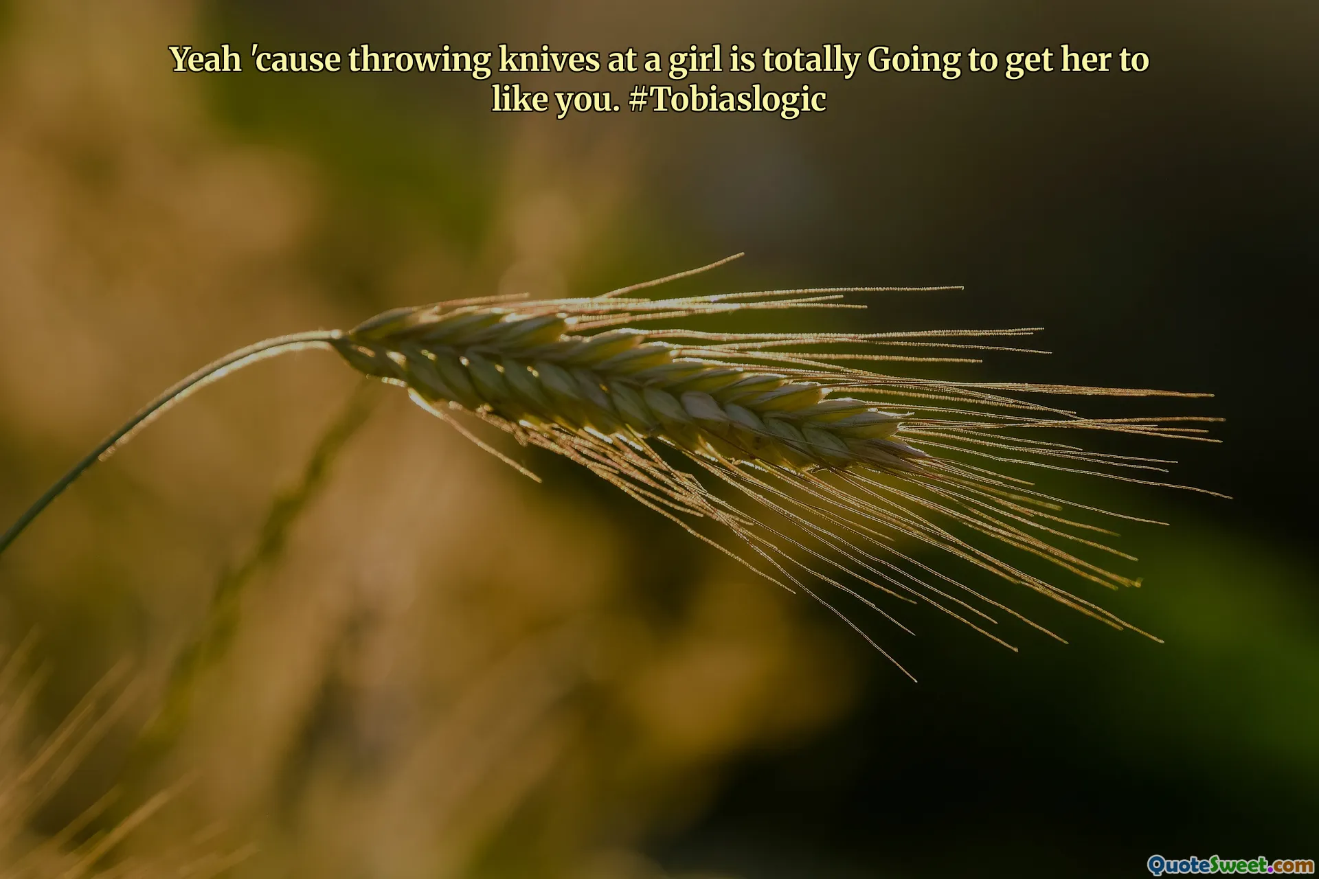 Yeah 'cause throwing knives at a girl is totally Going to get her to like you. #Tobiaslogic