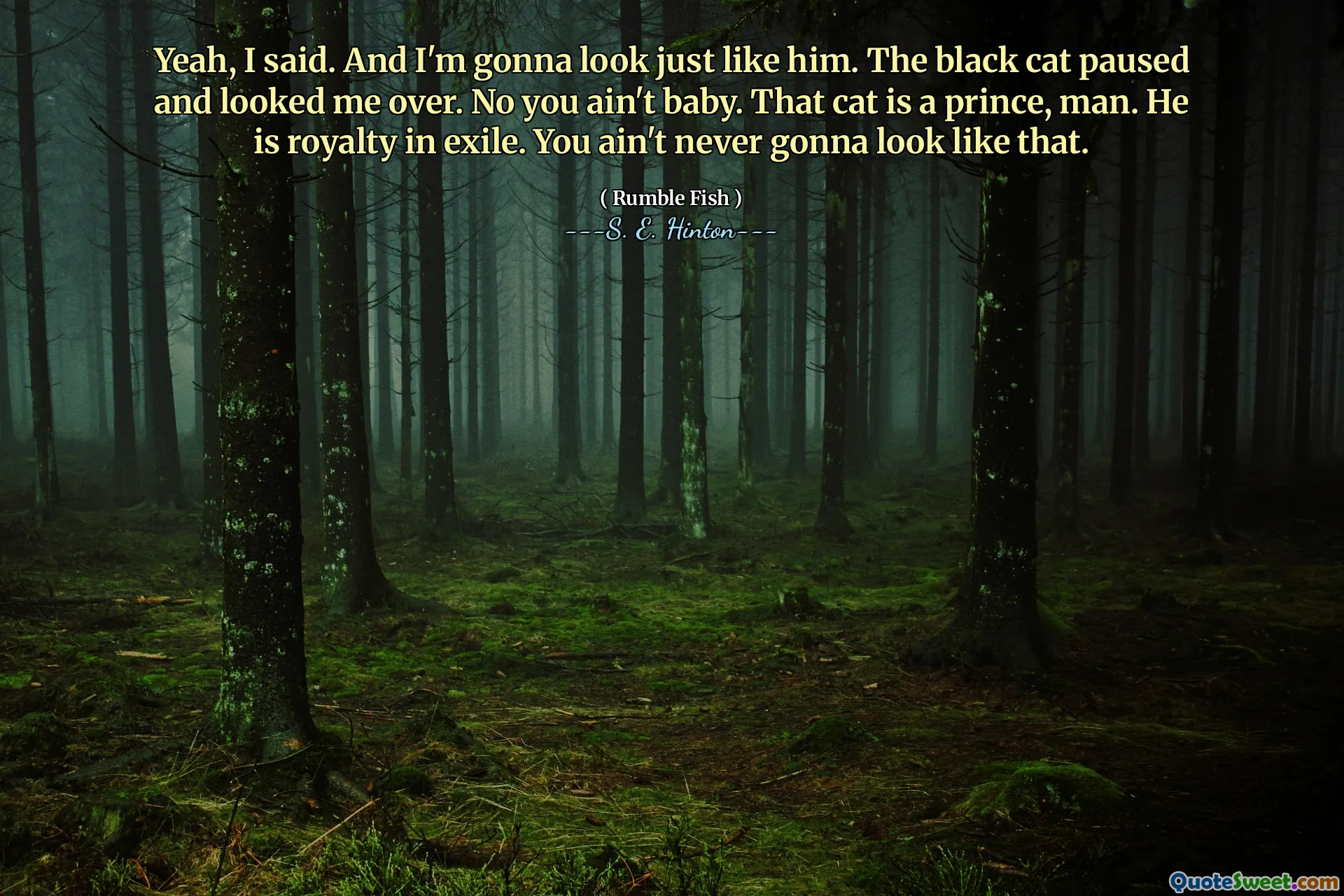 Yeah, I said. And I'm gonna look just like him. The black cat paused and looked me over. No you ain't baby. That cat is a prince, man. He is royalty in exile. You ain't never gonna look like that.