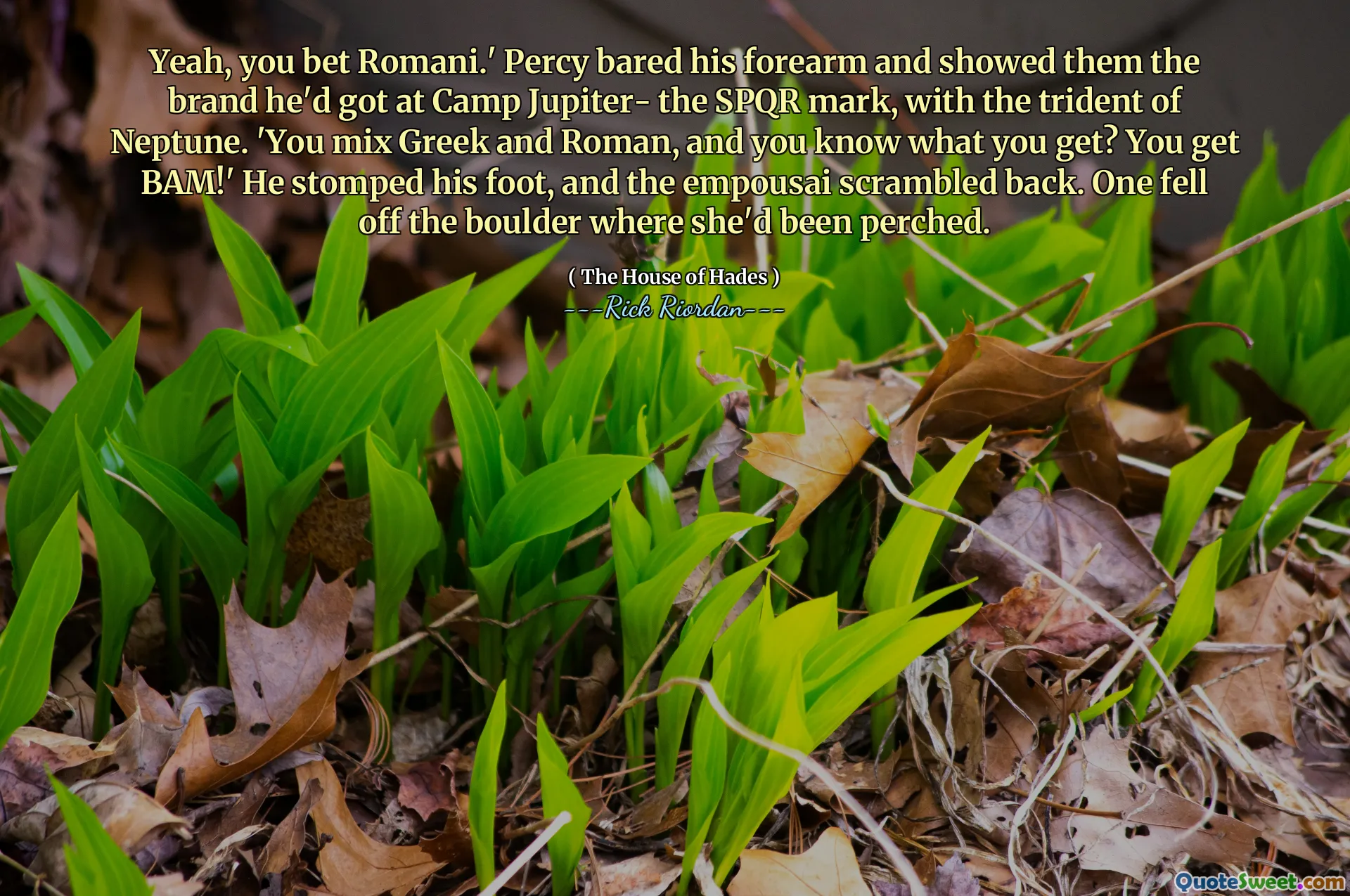 Yeah, you bet Romani.' Percy bared his forearm and showed them the brand he'd got at Camp Jupiter- the SPQR mark, with the trident of Neptune. 'You mix Greek and Roman, and you know what you get? You get BAM!' He stomped his foot, and the empousai scrambled back. One fell off the boulder where she'd been perched.