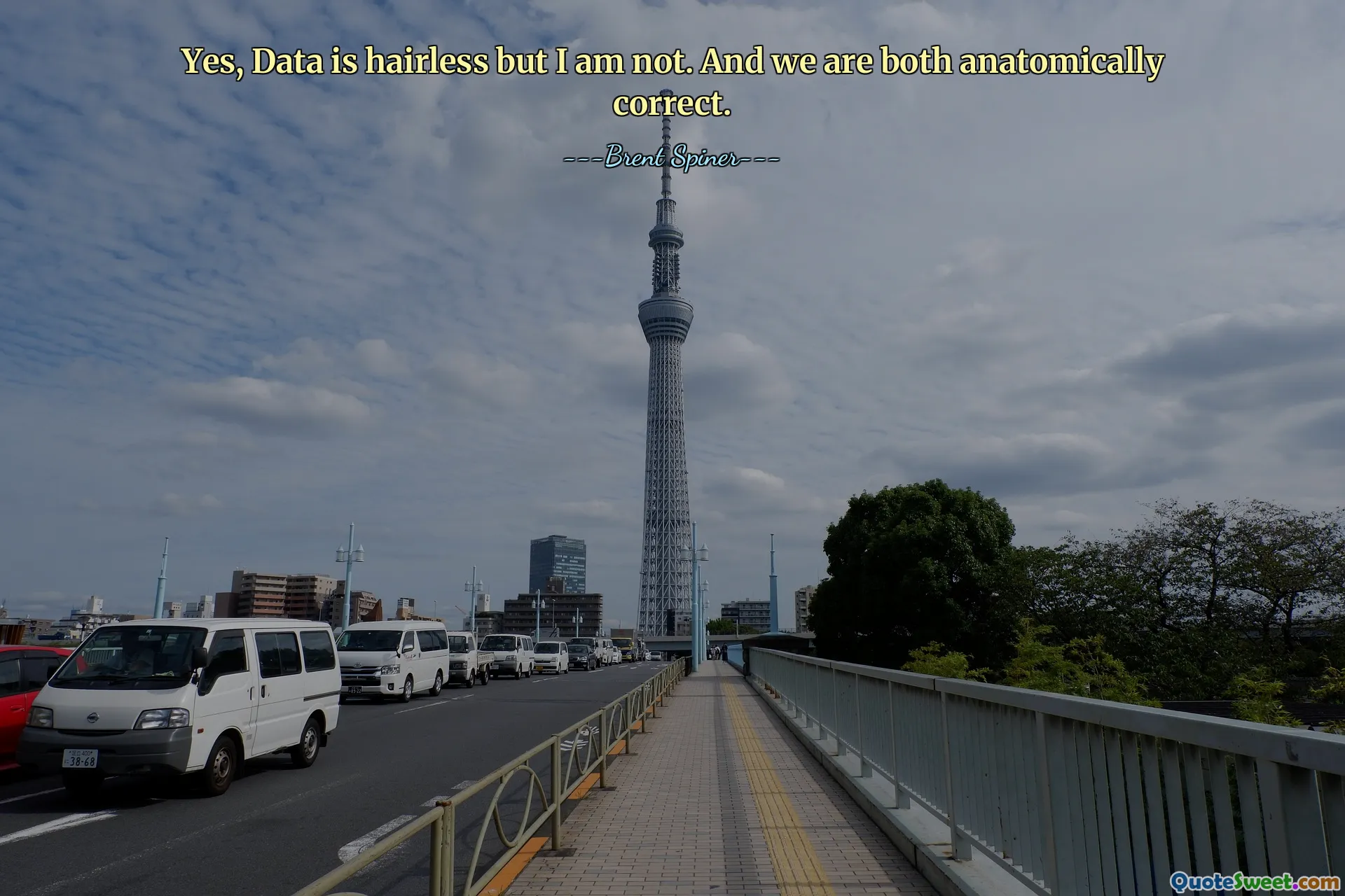 Yes, Data is hairless but I am not. And we are both anatomically correct.