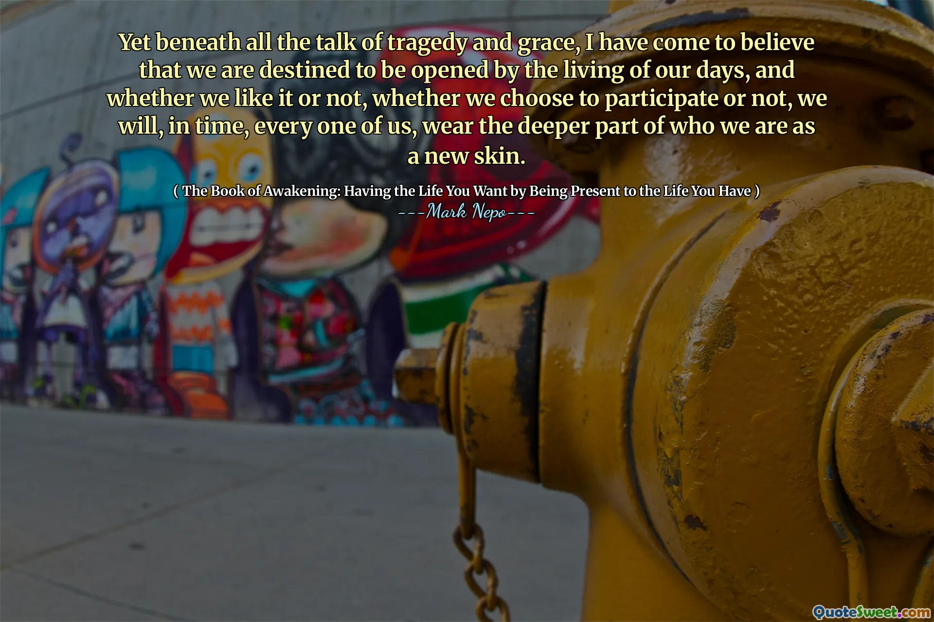 Cu toate acestea, sub toată discuția despre tragedie și har, am ajuns să cred că suntem destinați să fim deschisi de viața zilelor noastre și, dacă ne place sau nu, fie că alegem să participăm sau nu, vom purta, în timp, fiecare dintre noi, să purtăm o parte mai profundă a cine suntem ca o piele nouă.