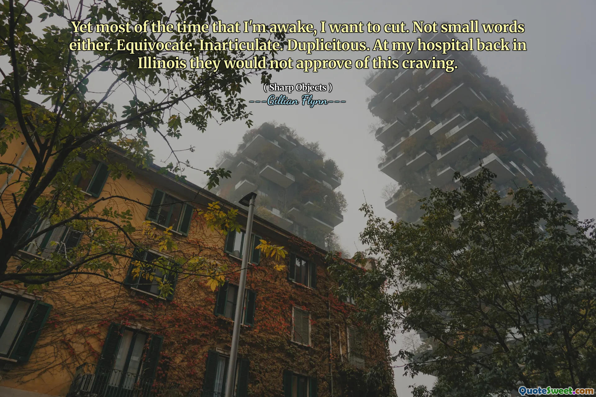 Yet most of the time that I'm awake, I want to cut. Not small words either. Equivocate. Inarticulate. Duplicitous. At my hospital back in Illinois they would not approve of this craving.