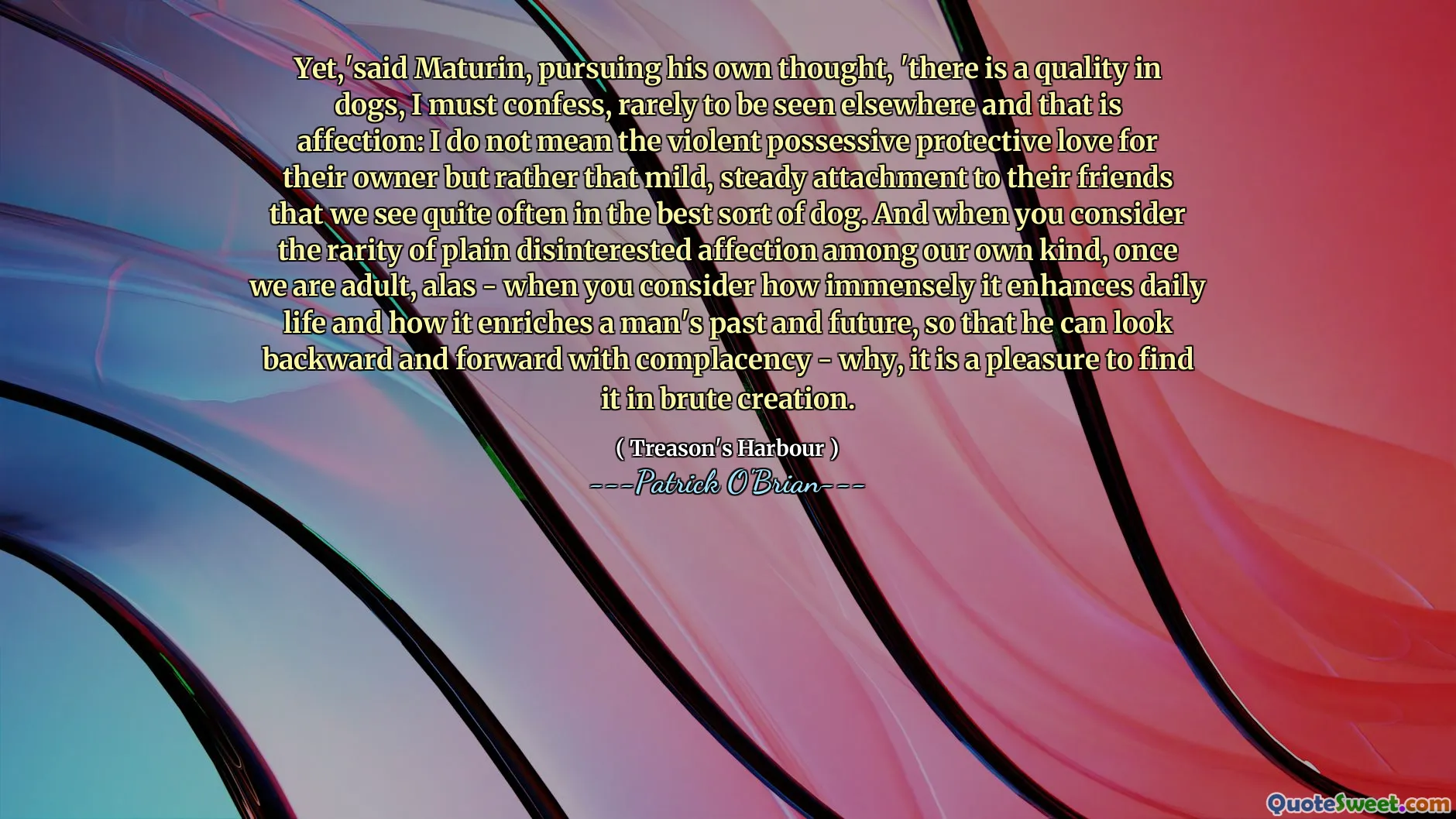 Yet,'said Maturin, pursuing his own thought, 'there is a quality in dogs, I must confess, rarely to be seen elsewhere and that is affection: I do not mean the violent possessive protective love for their owner but rather that mild, steady attachment to their friends that we see quite often in the best sort of dog. And when you consider the rarity of plain disinterested affection among our own kind, once we are adult, alas - when you consider how immensely it enhances daily life and how it enriches a man's past and future, so that he can look backward and forward with complacency - why, it is a pleasure to find it in brute creation.