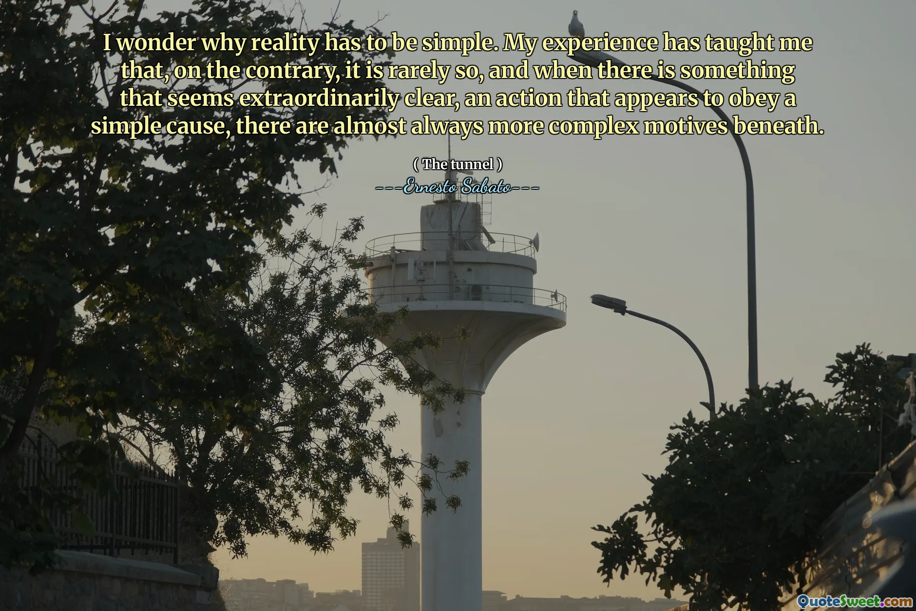 I wonder why reality has to be simple. My experience has taught me that, on the contrary, it is rarely so, and when there is something that seems extraordinarily clear, an action that appears to obey a simple cause, there are almost always more complex motives beneath.