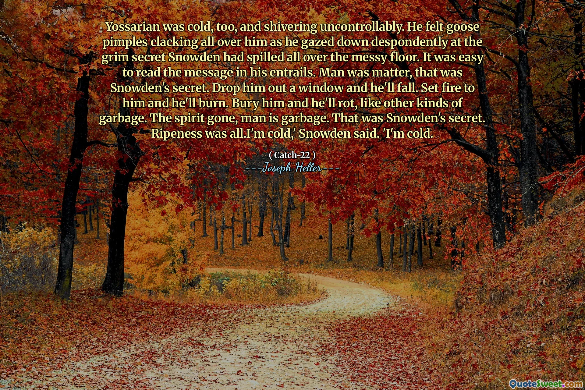 Yossarian var også kald, og skjelver ukontrollert. Han kjente gåsekonser som klappet over ham mens han stirret fortvilet mot den dystre hemmelige, Snowden hadde sølt over det rotete gulvet. Det var lett å lese meldingen i entrailene hans. Mennesket var sak, det var Snowdens hemmelighet. Slipp ham ut et vindu, så faller han. Sett fyr på ham, og han vil brenne. Begrav ham, og han vil råtne, som andre typer søppel. Ånden er borte, mennesket er søppel. Det var Snowdens hemmelighet. Modenhet var alt. Jeg er kald, 'sa Snowden. 'Jeg er kald.