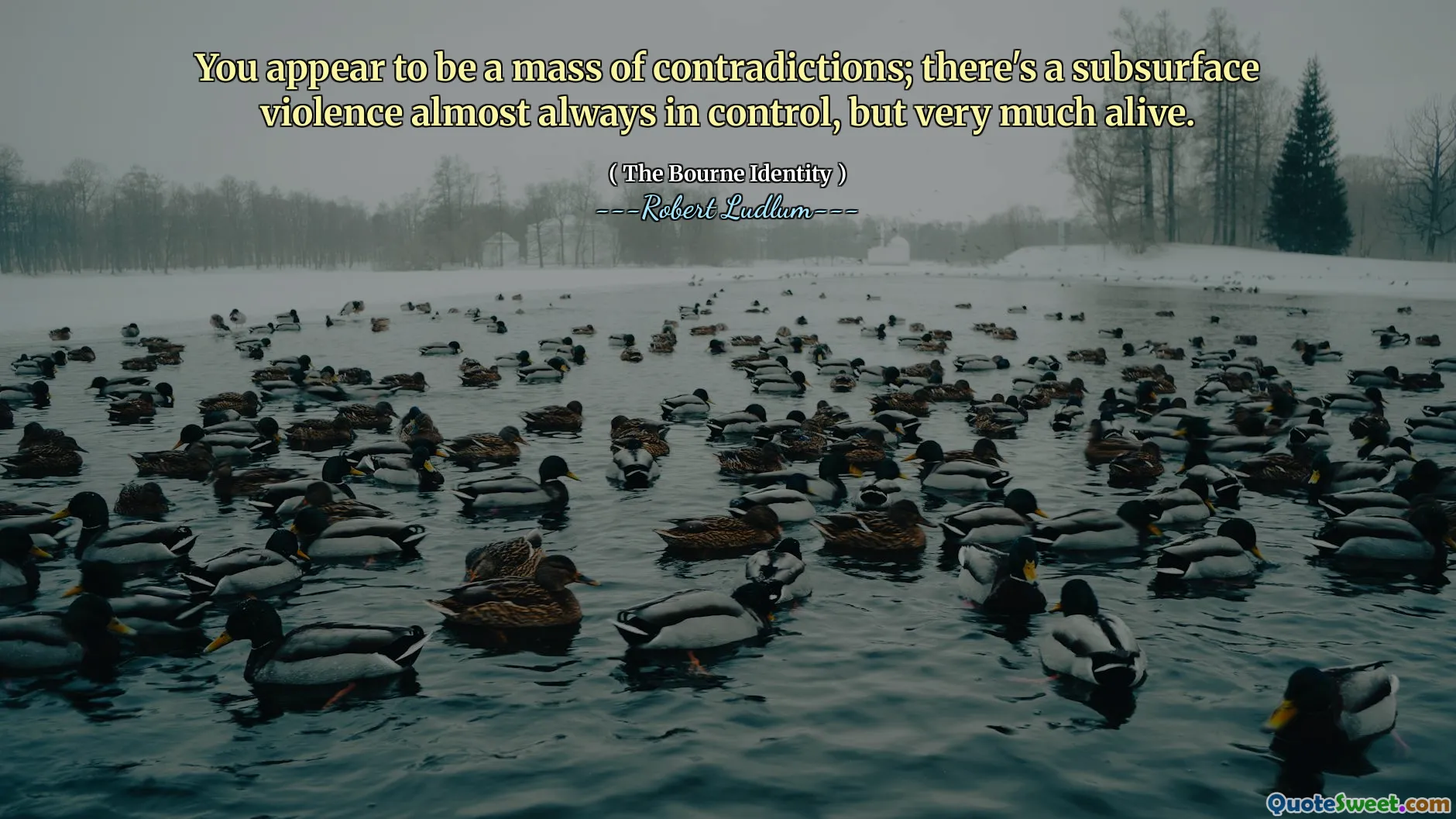 You appear to be a mass of contradictions; there's a subsurface violence almost always in control, but very much alive.