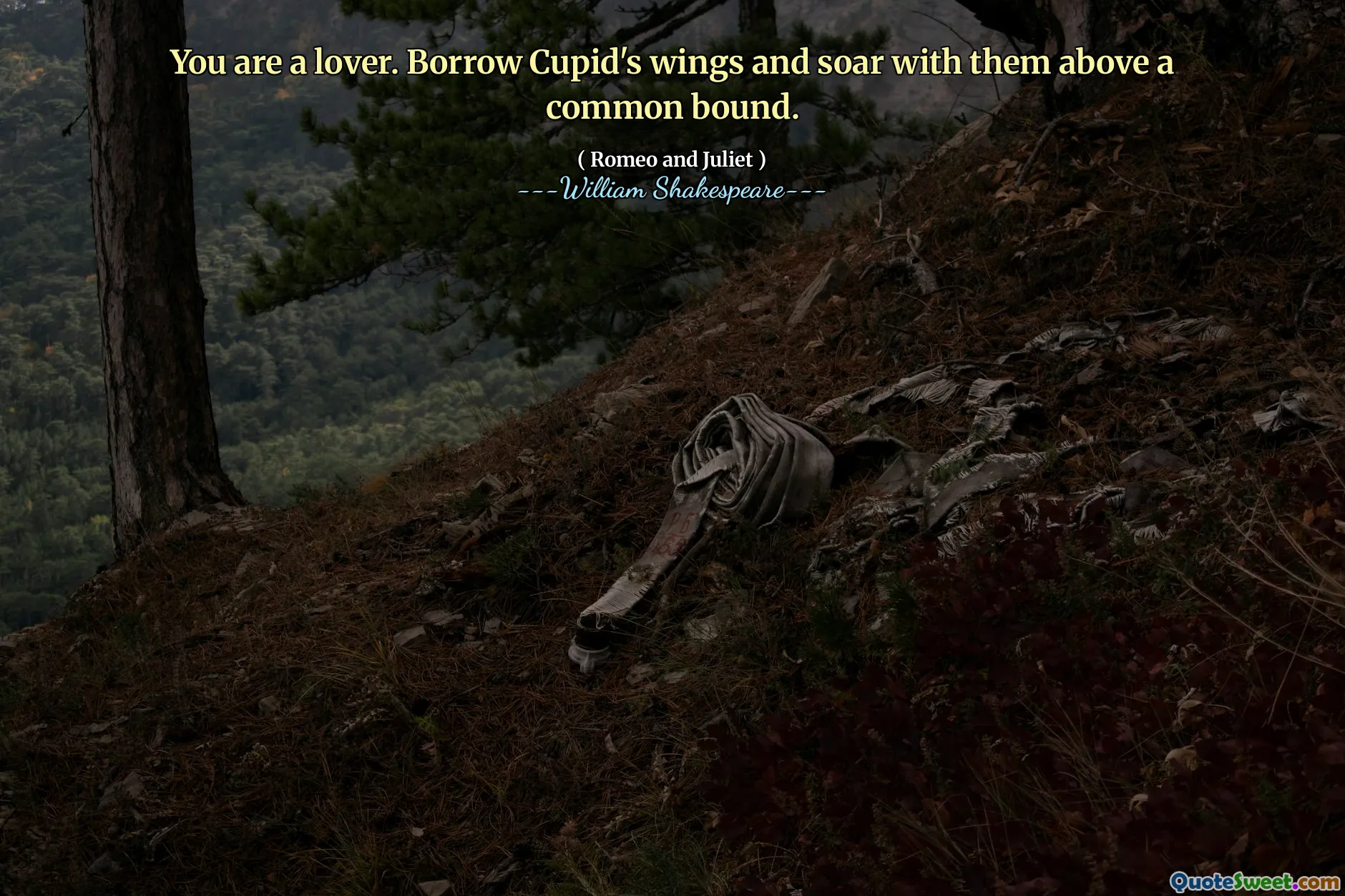 You are a lover. Borrow Cupid's wings and soar with them above a common bound.