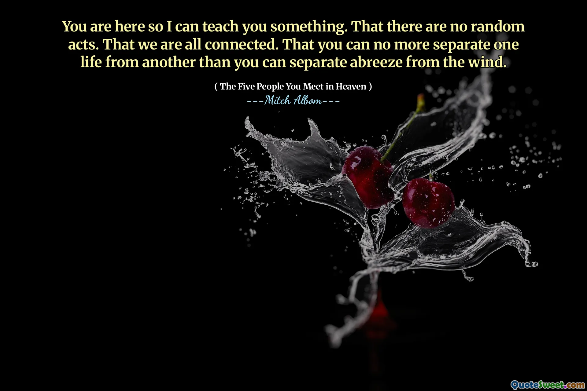 你在这里，所以我可以教你一些东西。没有随机行为。我们都连接了。您再也无法将一种生命与另一种生命分开，而不是可以将Abreeze与风分开。