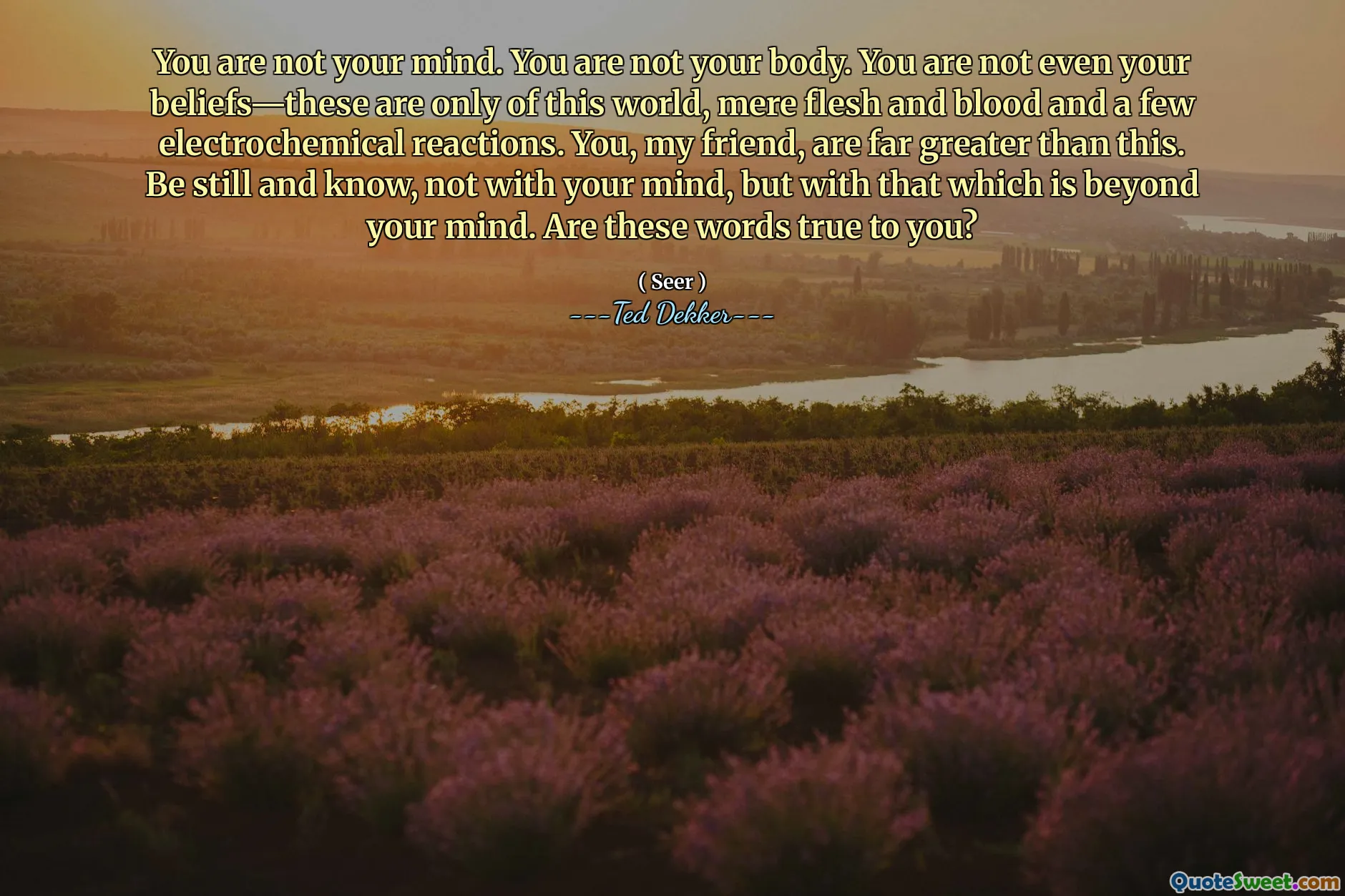 You are not your mind. You are not your body. You are not even your beliefs—these are only of this world, mere flesh and blood and a few electrochemical reactions. You, my friend, are far greater than this. Be still and know, not with your mind, but with that which is beyond your mind. Are these words true to you?