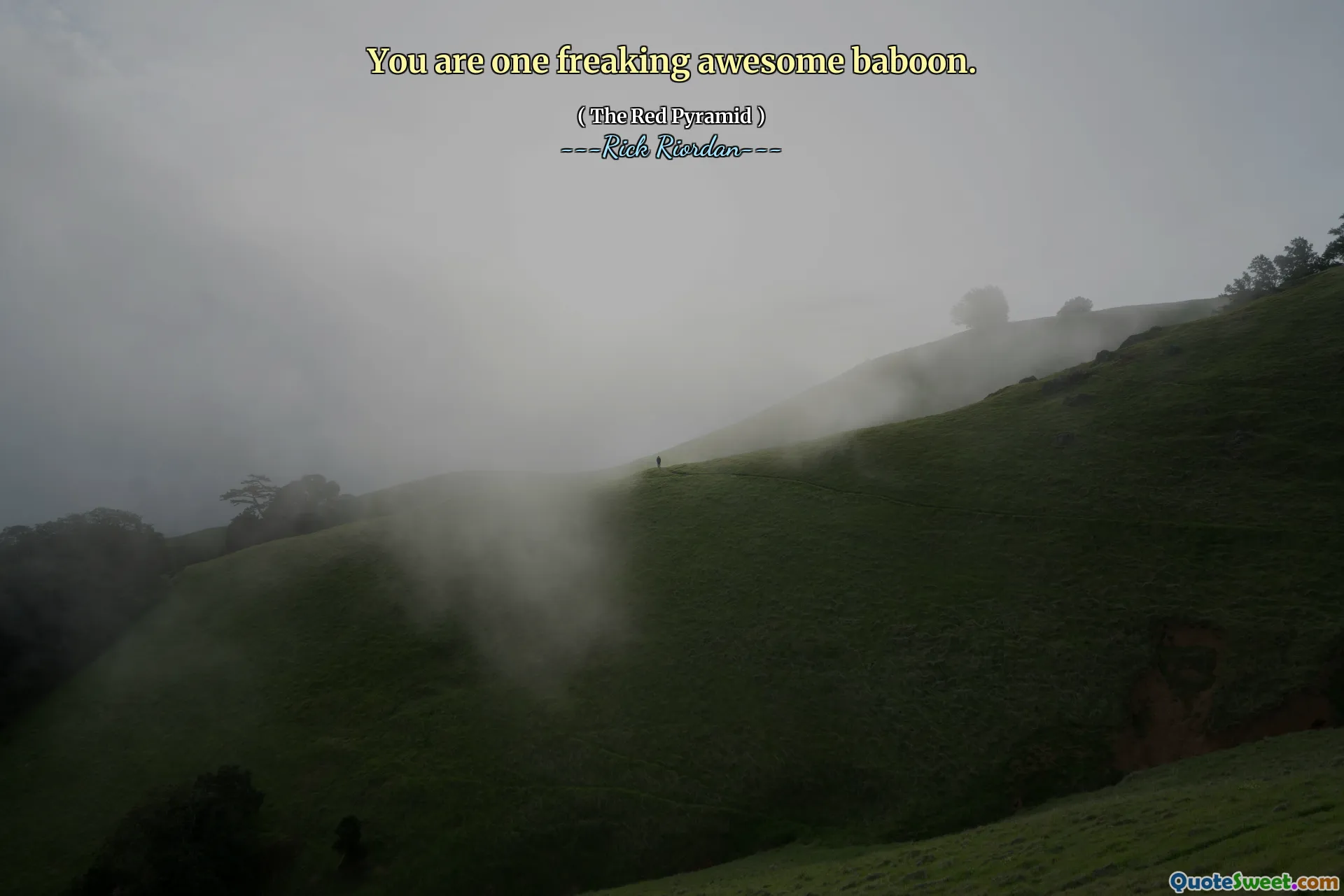 You are one freaking awesome baboon.