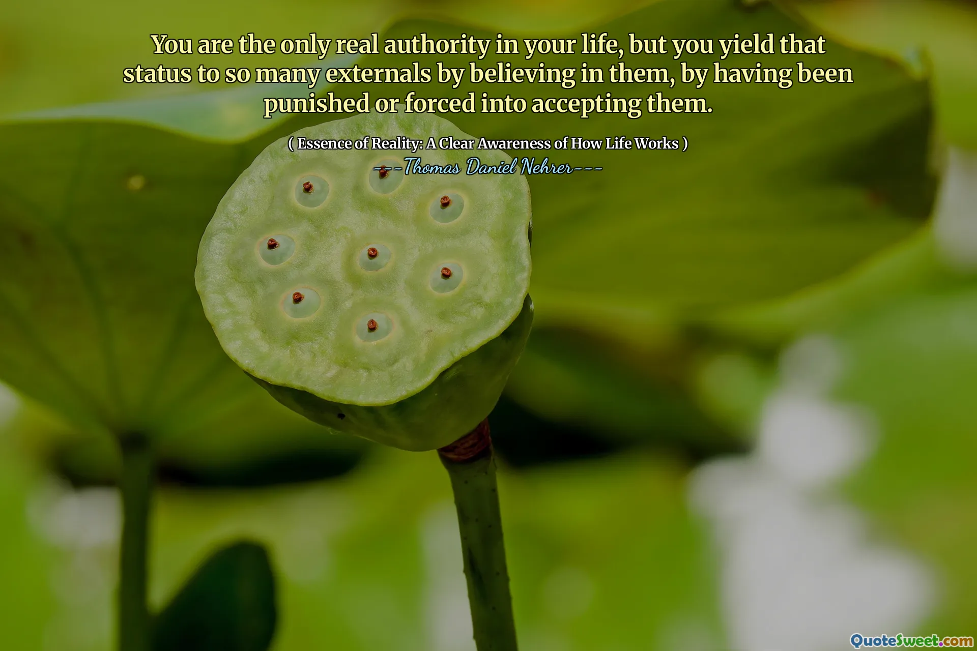 You are the only real authority in your life, but you yield that status to so many externals by believing in them, by having been punished or forced into accepting them.