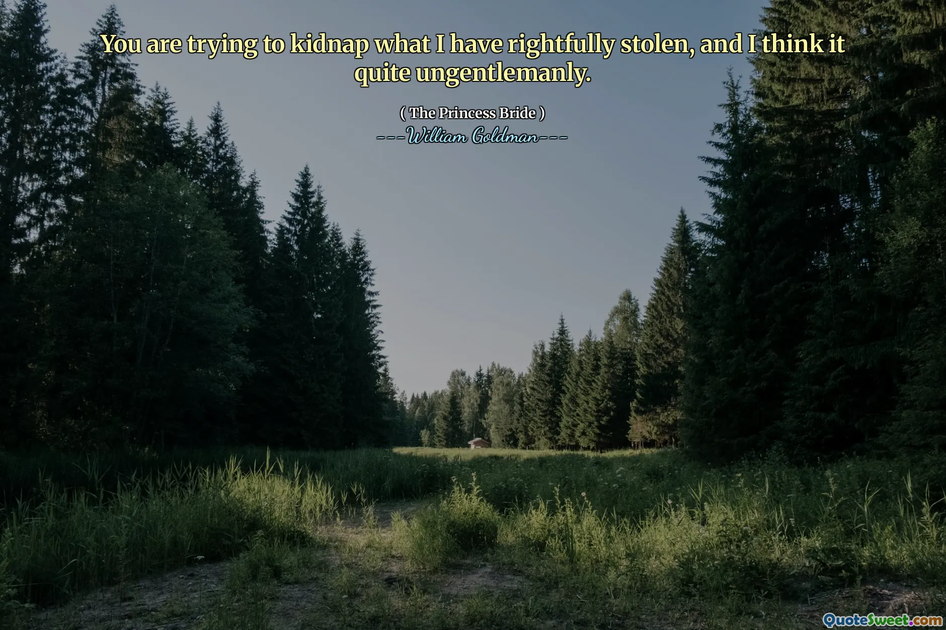 You are trying to kidnap what I have rightfully stolen, and I think it quite ungentlemanly.