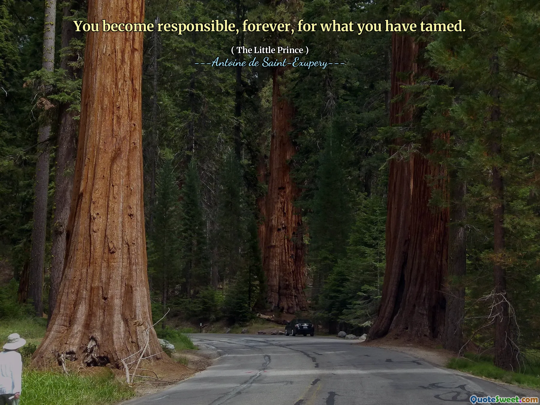 You become responsible, forever, for what you have tamed.