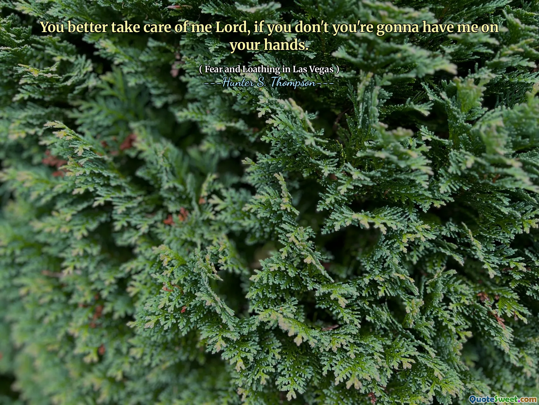 你最好照顾我主，如果你不这样做，你会把我拿到手上。